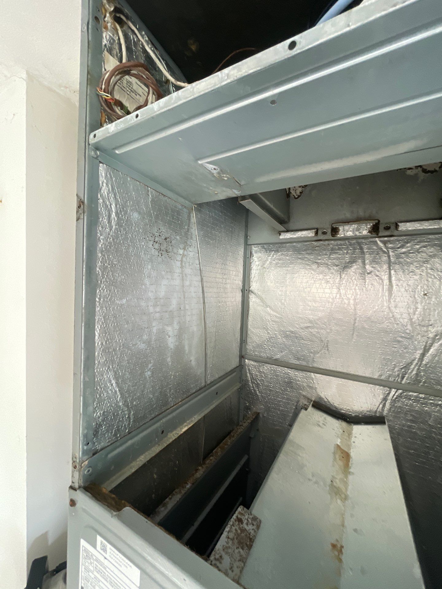 Air Duct Cleaning & Access Restoration in Ocoee by Hygienic Air, Inc