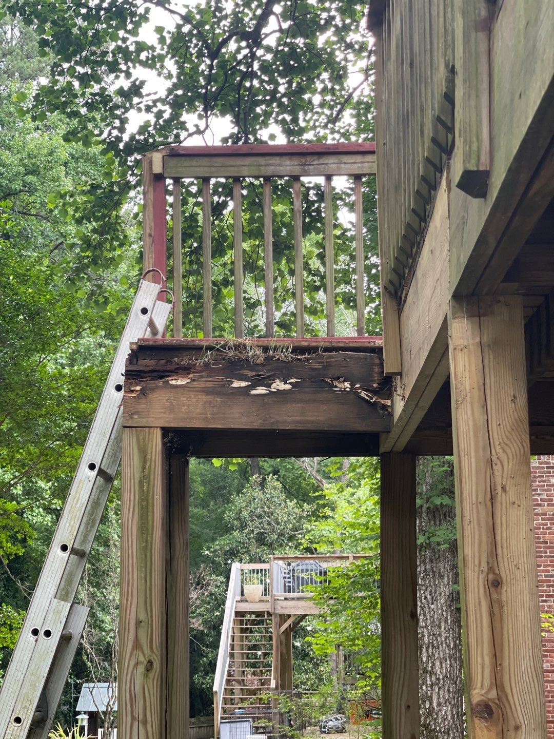 Forest Brook - Staircase by Pillar and Pine