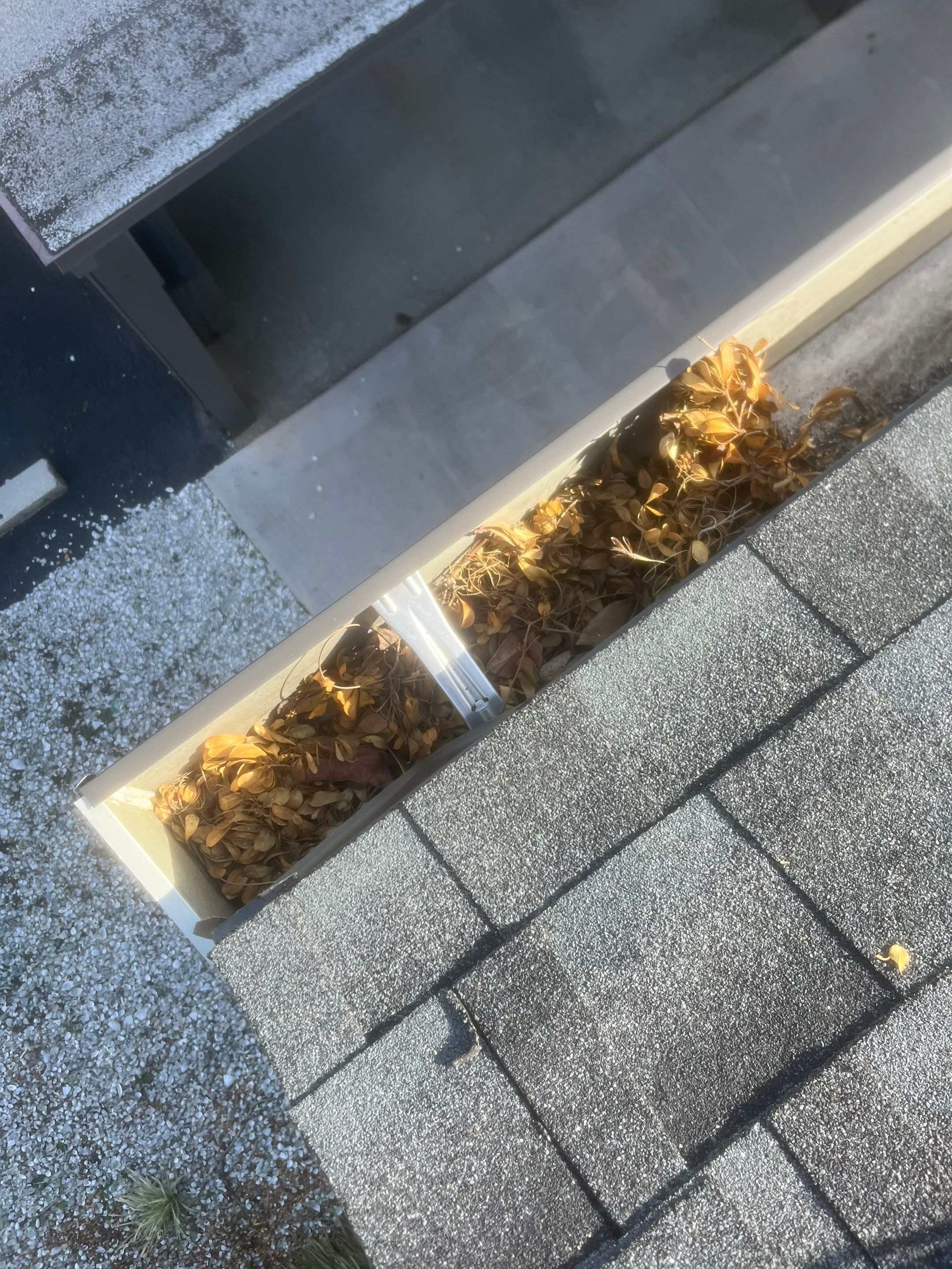 Professional Gutter Cleaning in Fort Myers FL by Gutter Professors