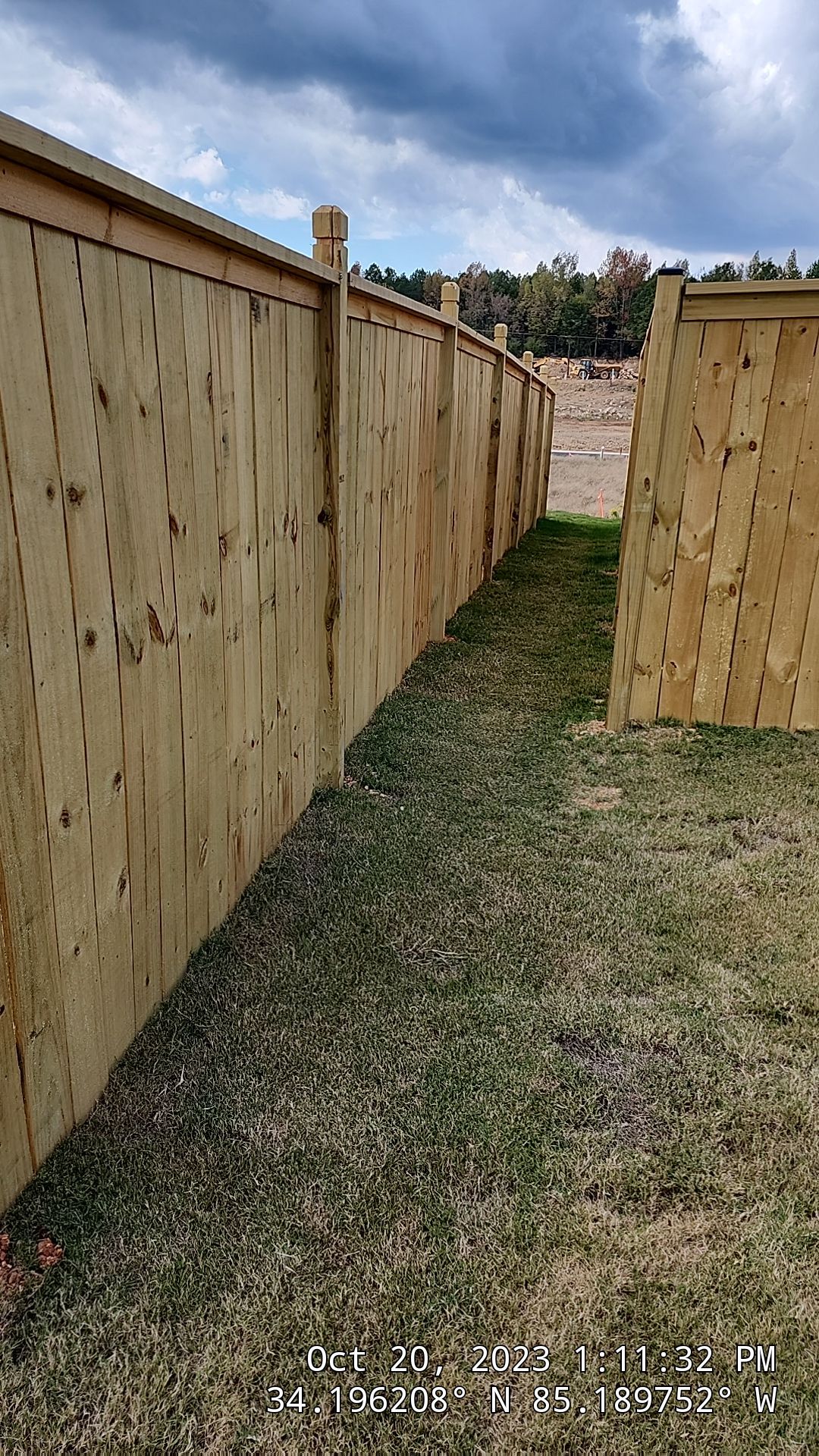 Fence Staining using Chestnut by SSE by Titans of Timber Fence & Stain