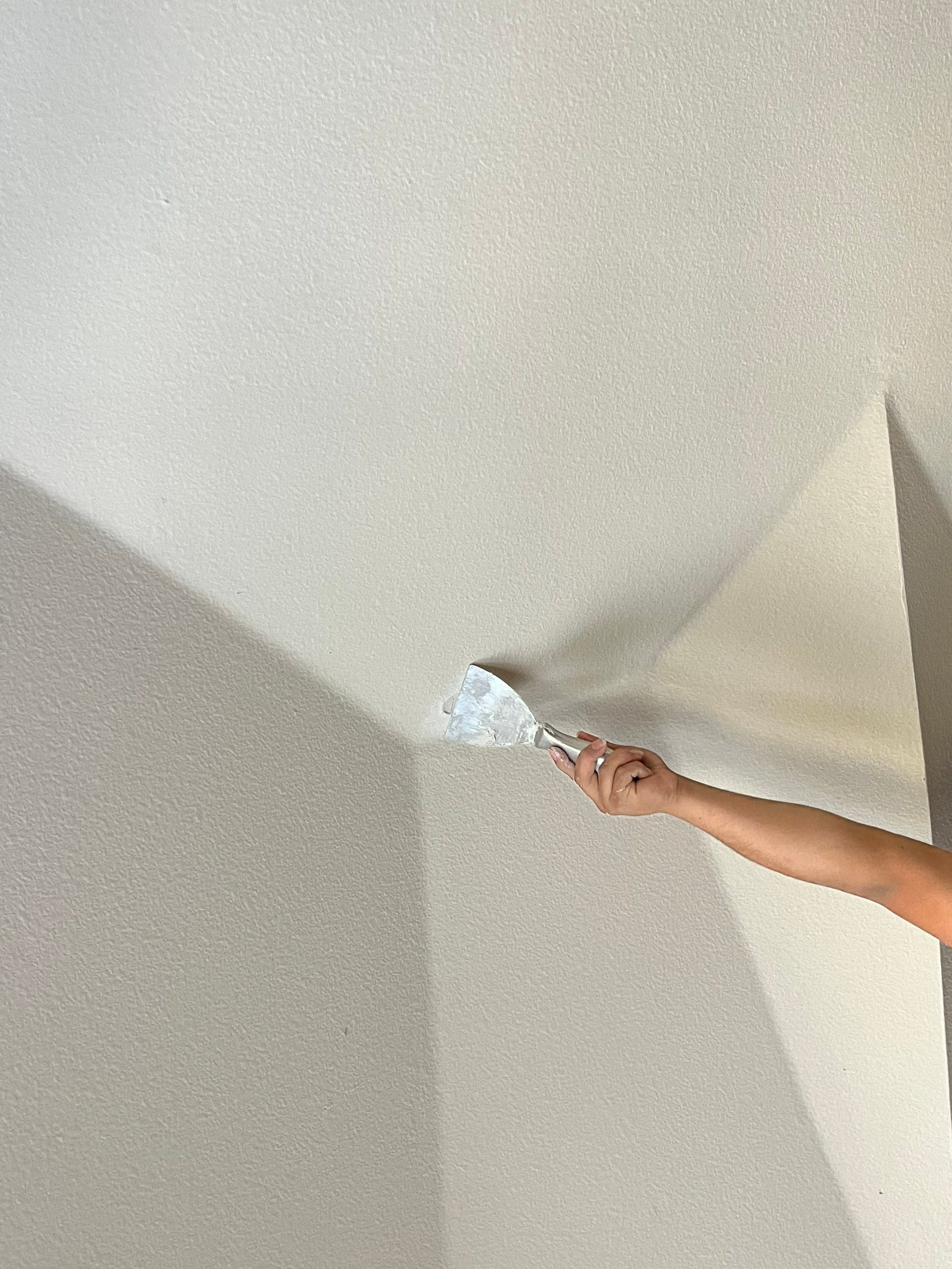 Project in Allen  by Zeus Exteriors