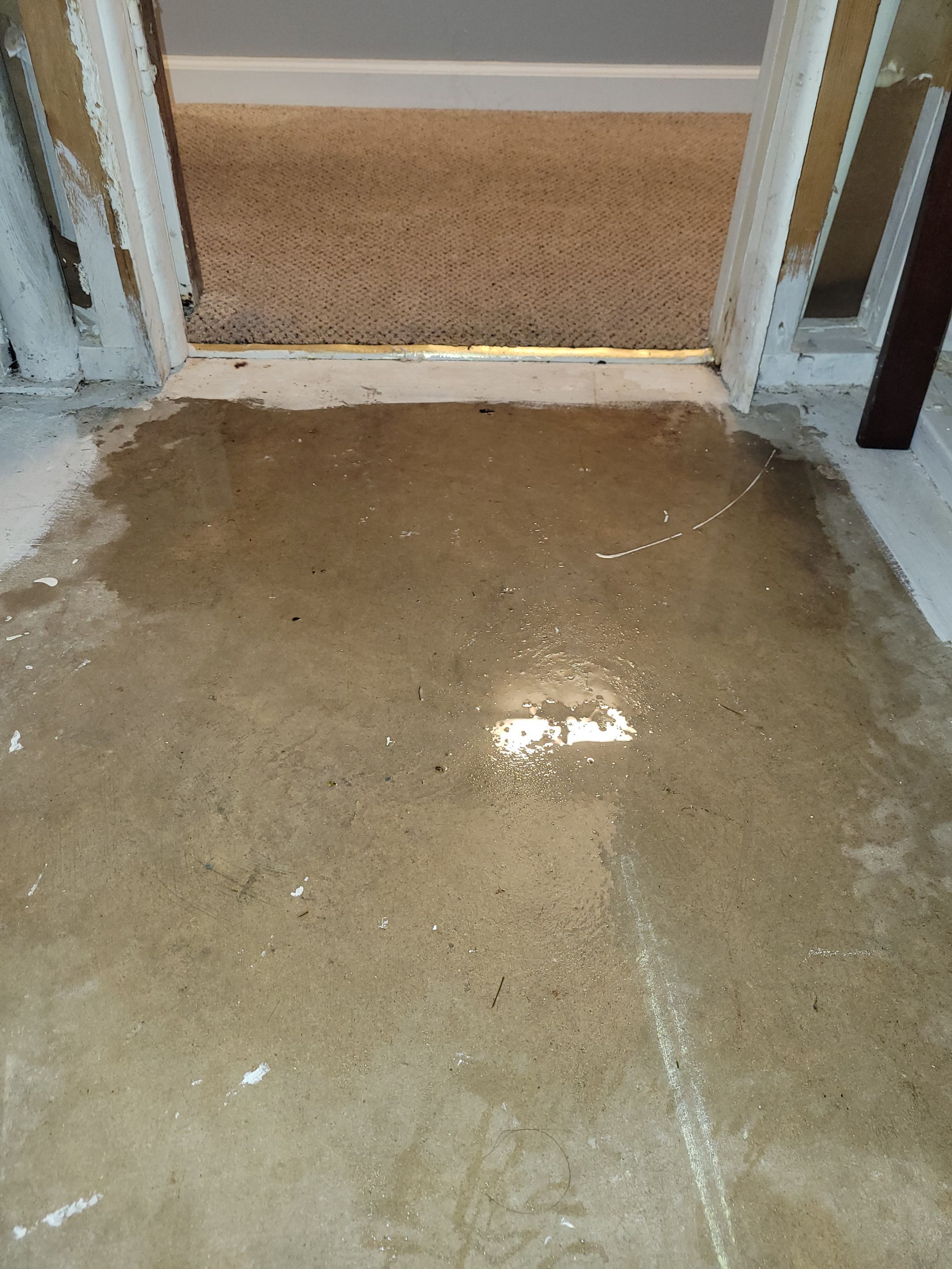 Sump Pump Failure by Chicagoland Water Medics