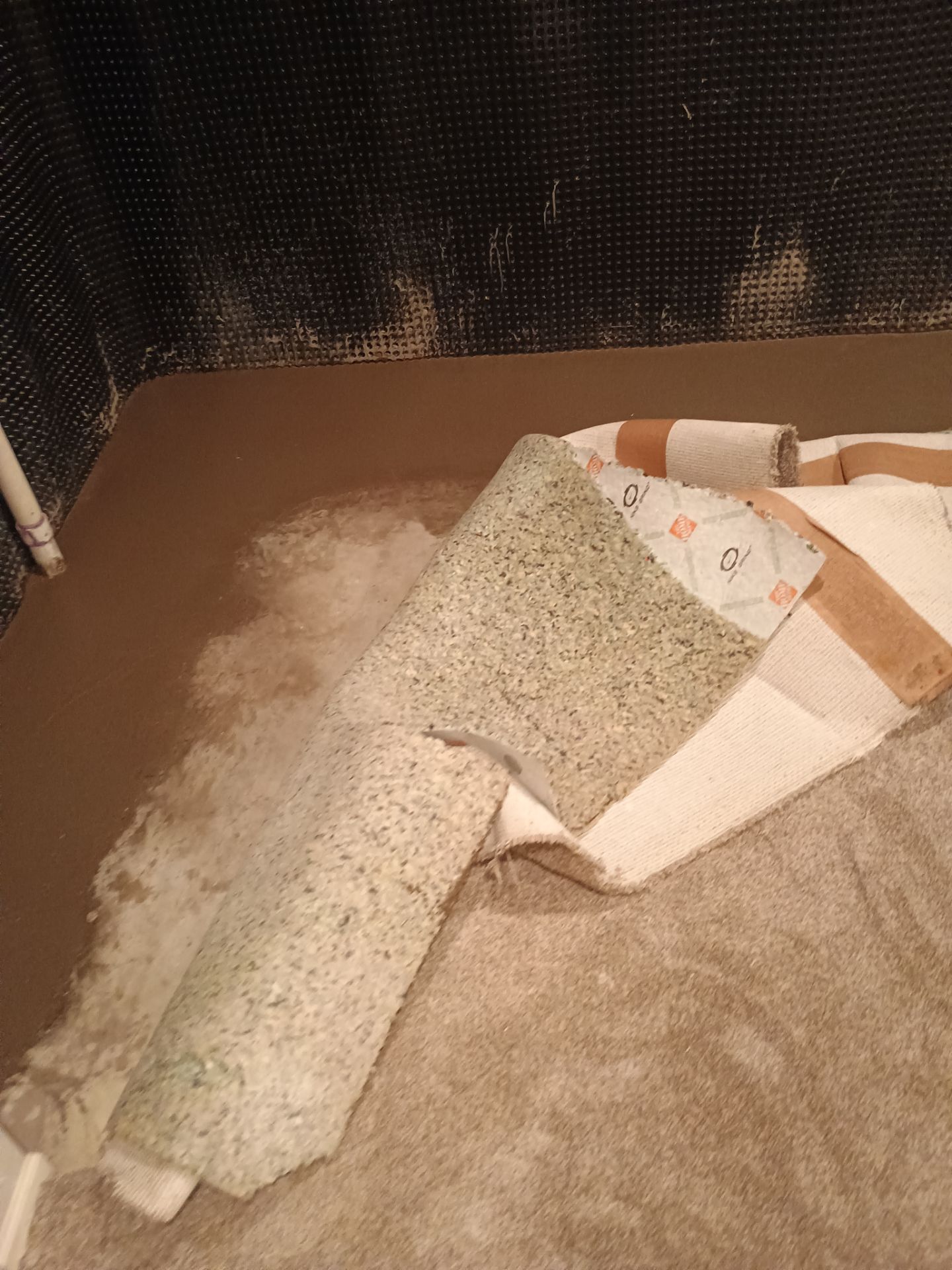 Investigating Groundwater Issues for RJ & Sally by Waterproofing Northeast