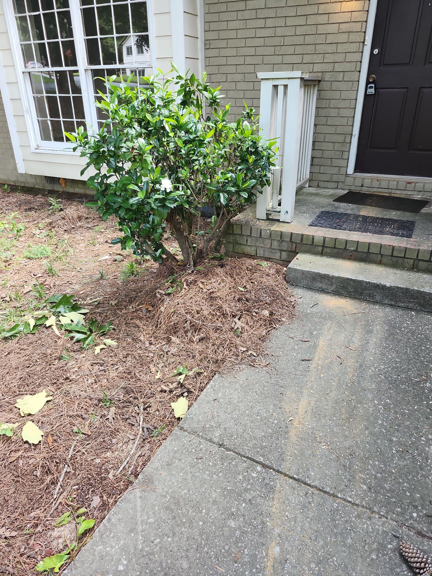 Project in Riverdale, GA by Task Masters Handyman Services, LLC