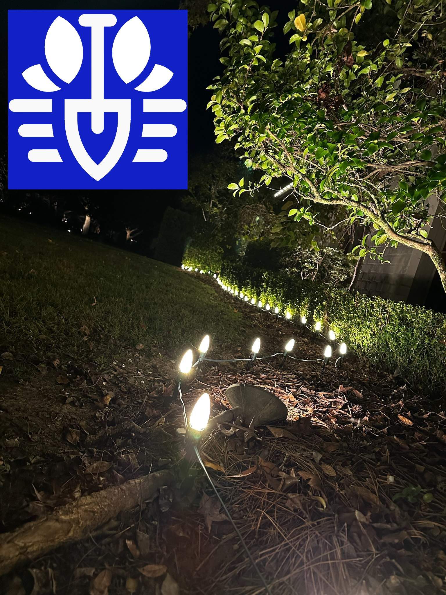 HOLIDAY LIGHTING C9 LED LIGHTING: ROOFLINE & LANDSCAPE by CutScape, LLC.