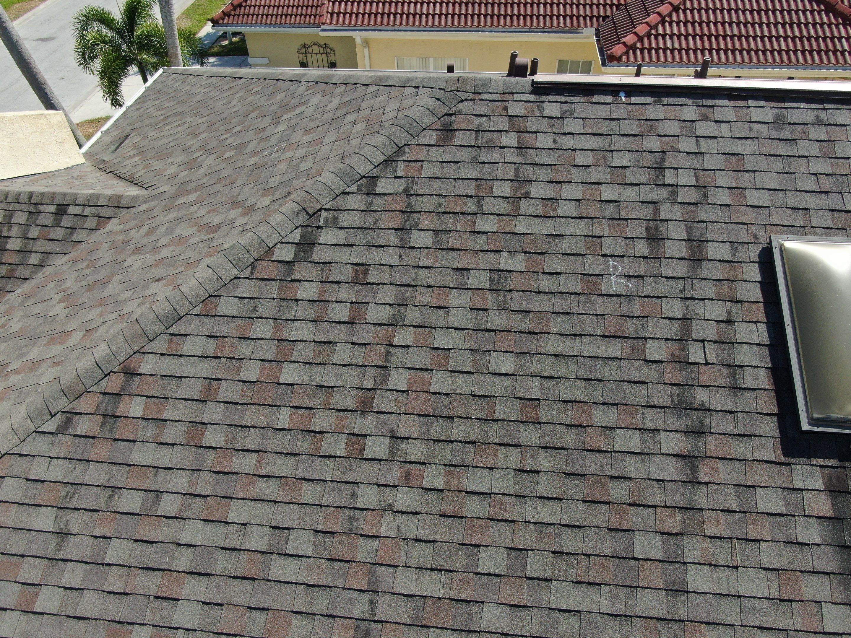 Water Damage Claim in New Port Richey by FLAPA & KeyStone