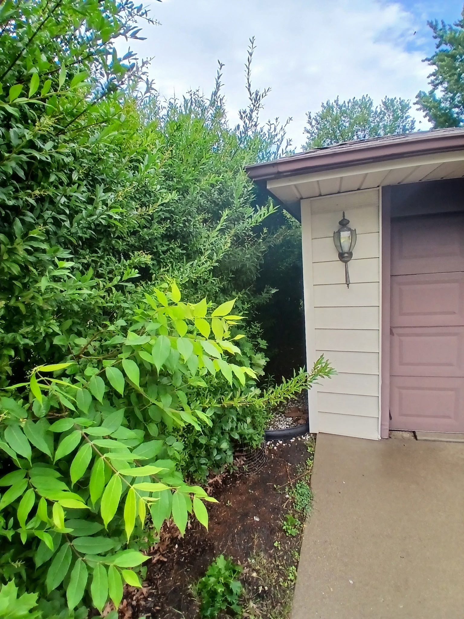 Pamela D. - Mount Prospect, IL by A&N