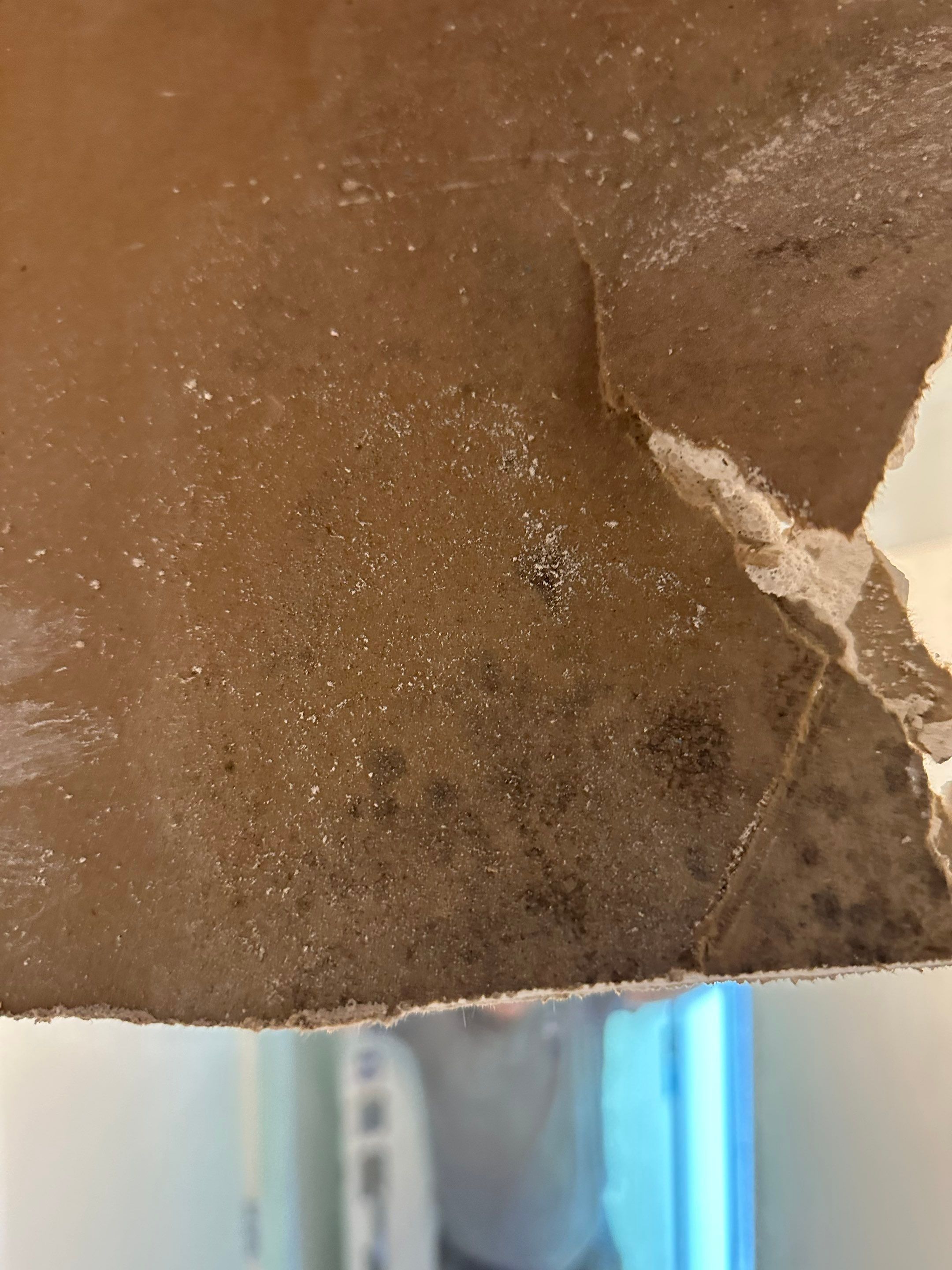 Water Damage in Denver, CO by Alpha Restoration 