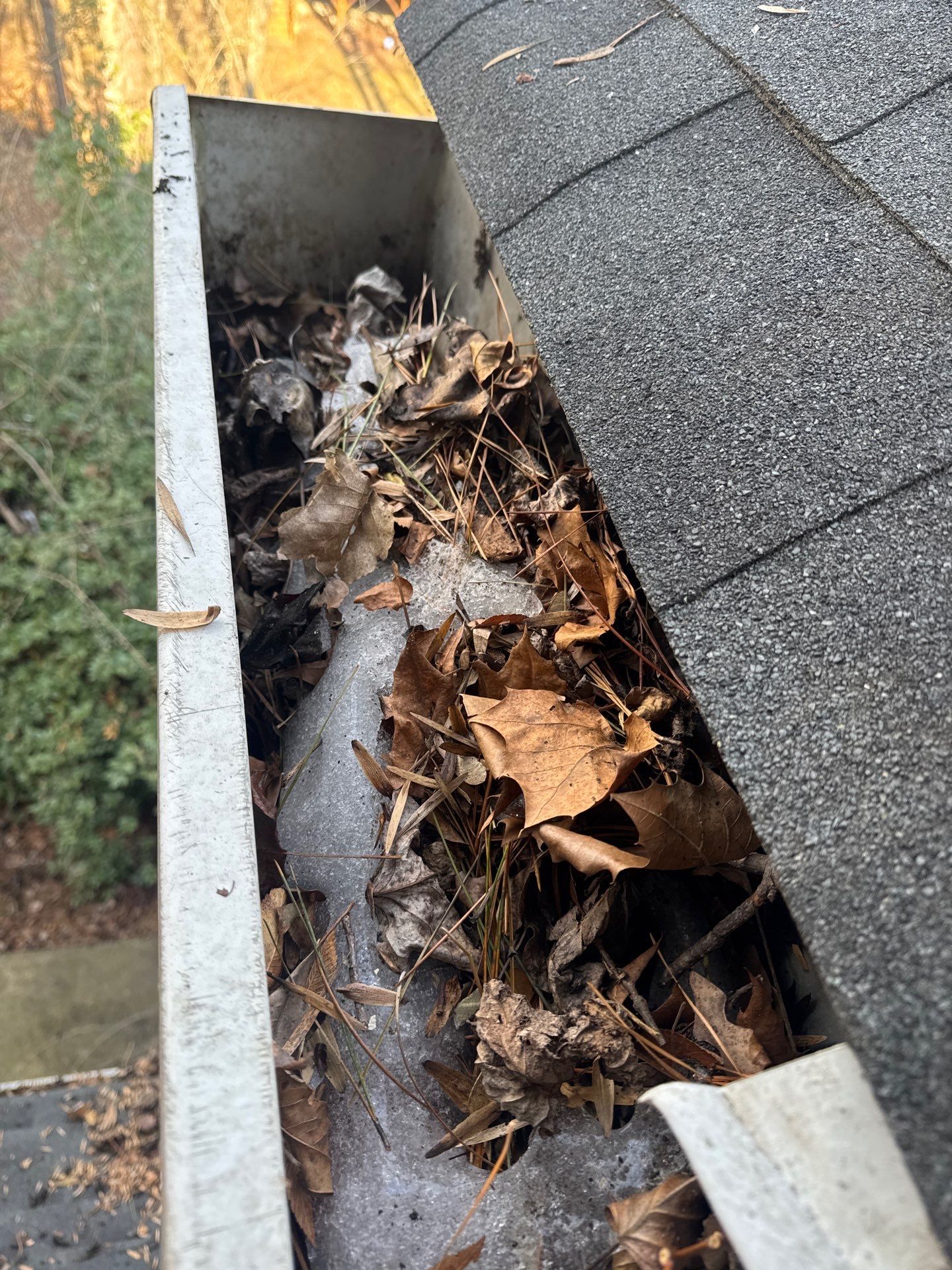 HOA gutter cleaning in Rock Hill, SC, before  photo showing full gutters.
