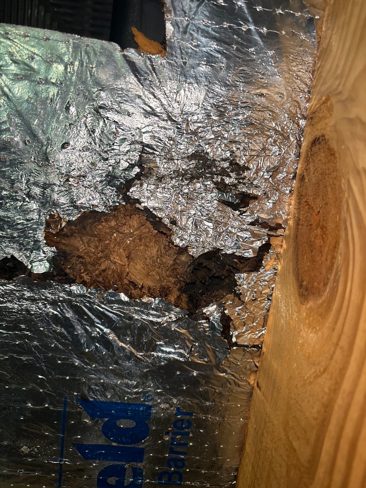 Roof Repair Richmond by Roof Repair Services LLC