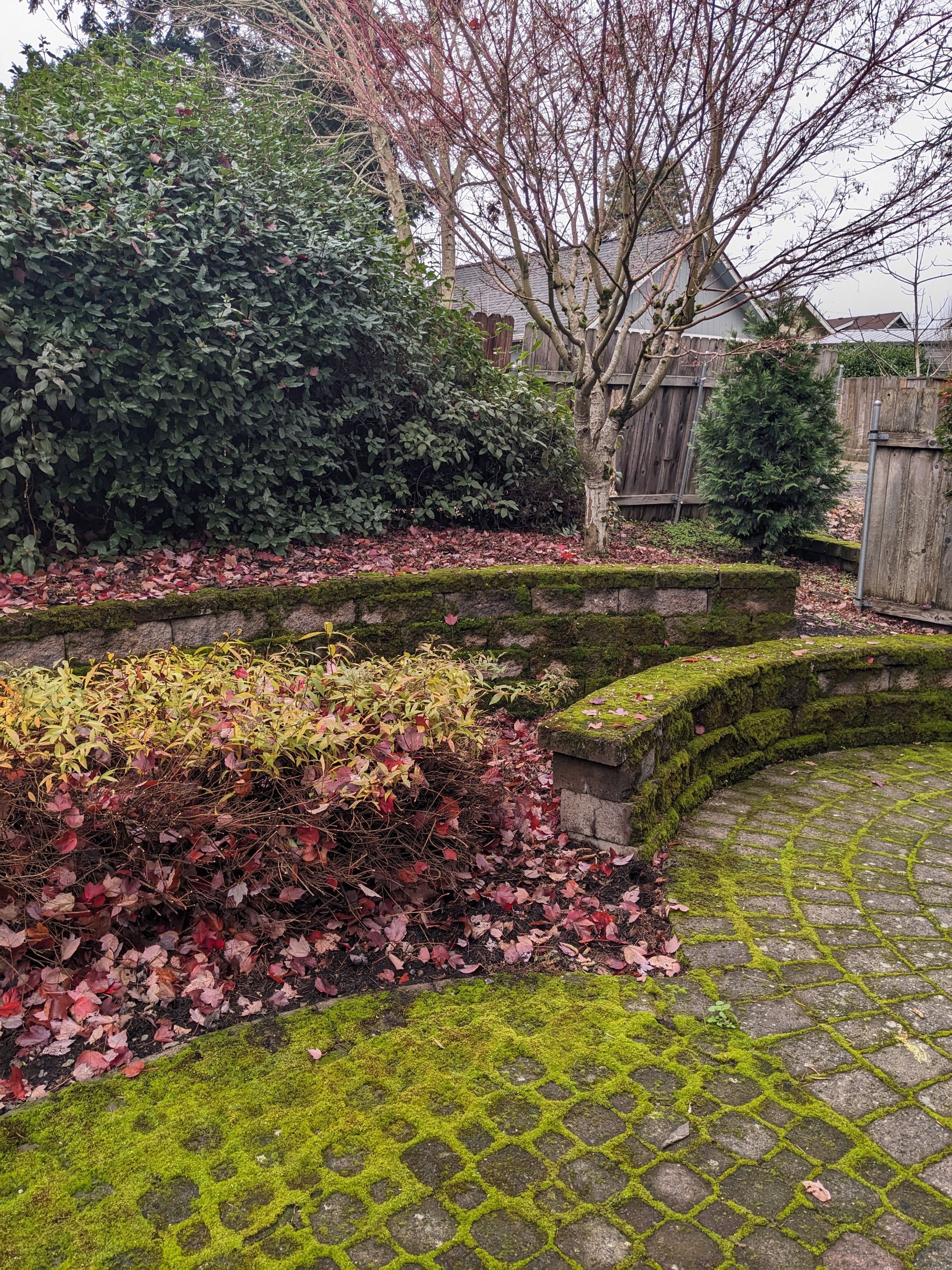 Landscaping Using Shrubs by CompanyCam Help Articles Test