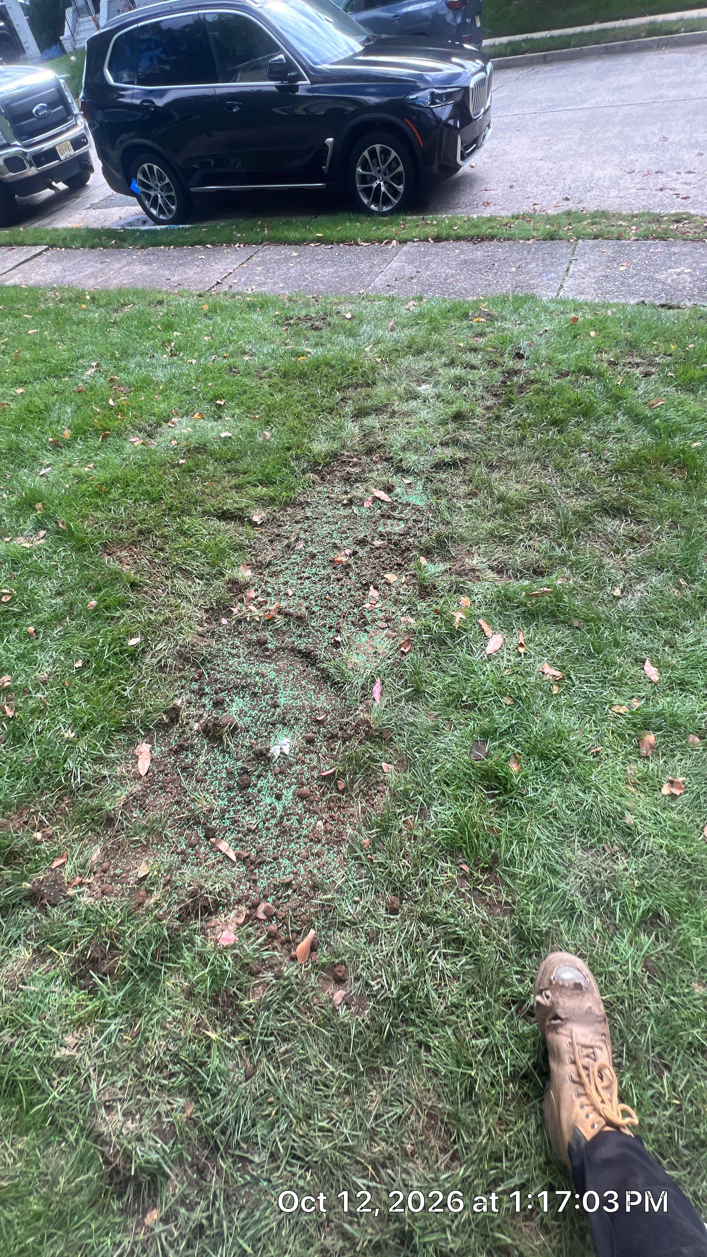 Gutter Cleaning, Mesh Gutter Screen Installation & Underground Drainage System in Teaneck by NJ Home Maintenance Services