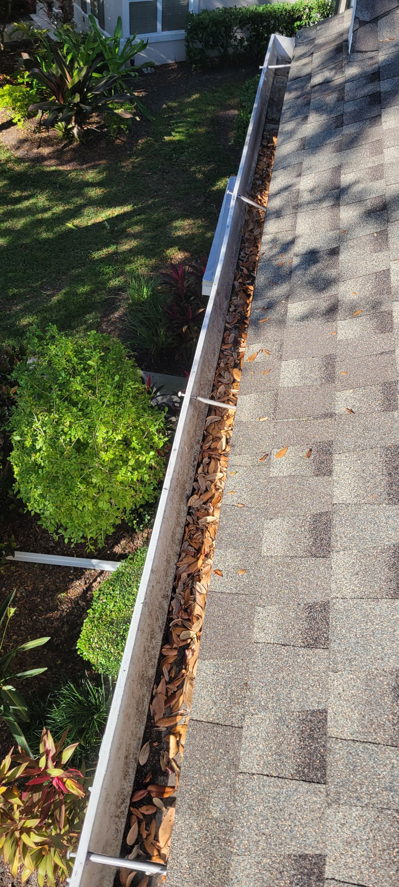 Gutter Cleaning Service in Fort Myers FL by Gutter Professors