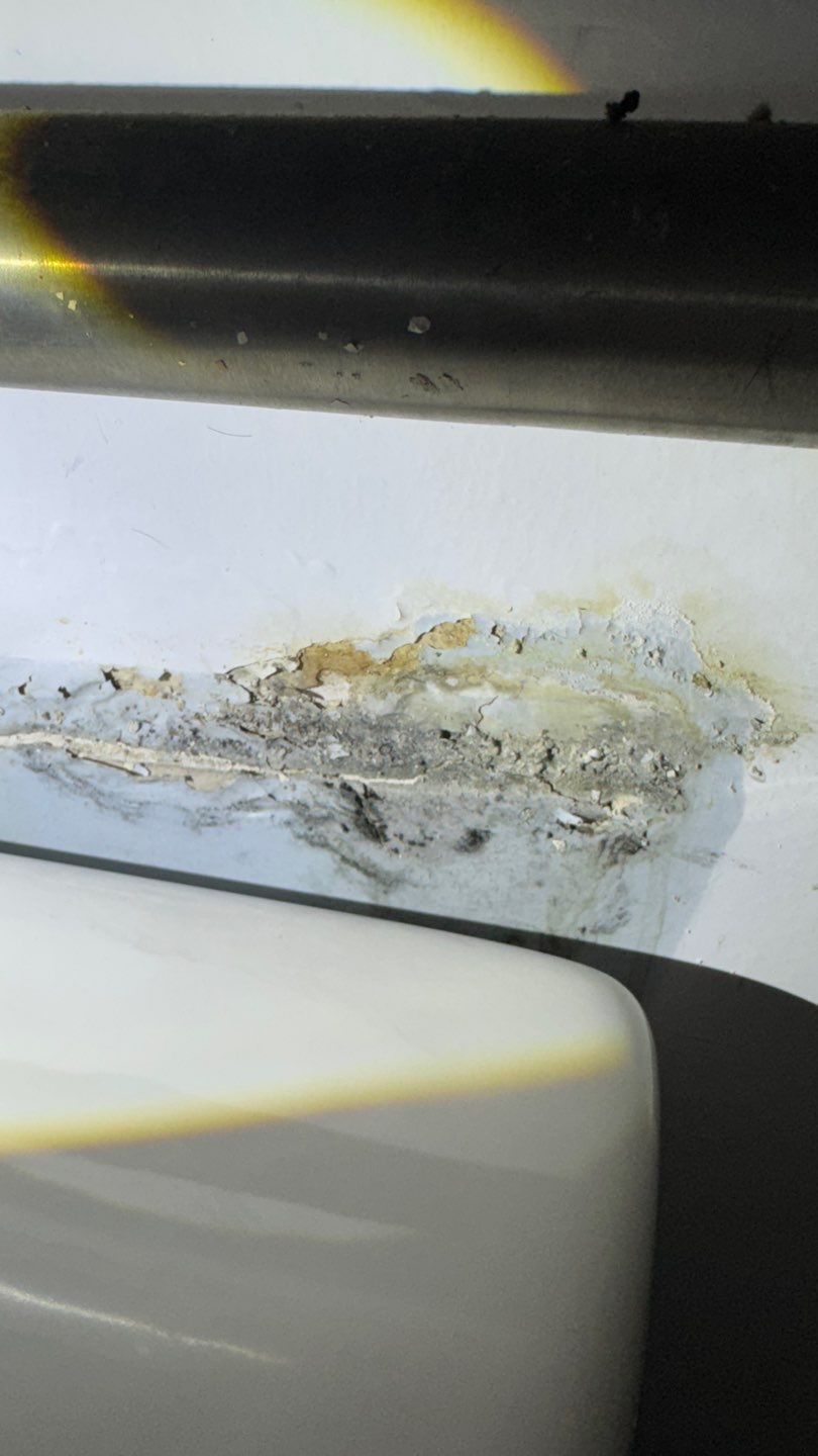 Mold Damage Restoration by Accountable Home Services