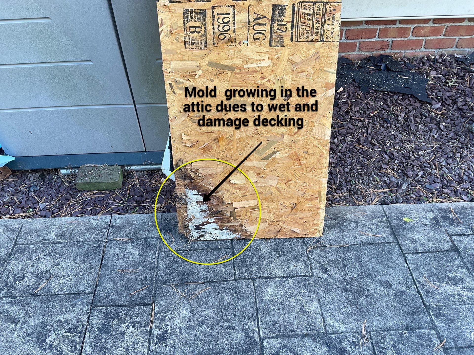 New Roof Replacement  by Alpha Design Services