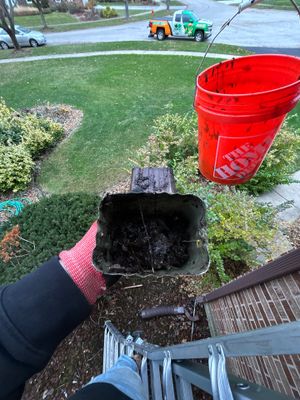 Turtle Shell gutter protection installation in Naperville, IL 60563, photograph 8