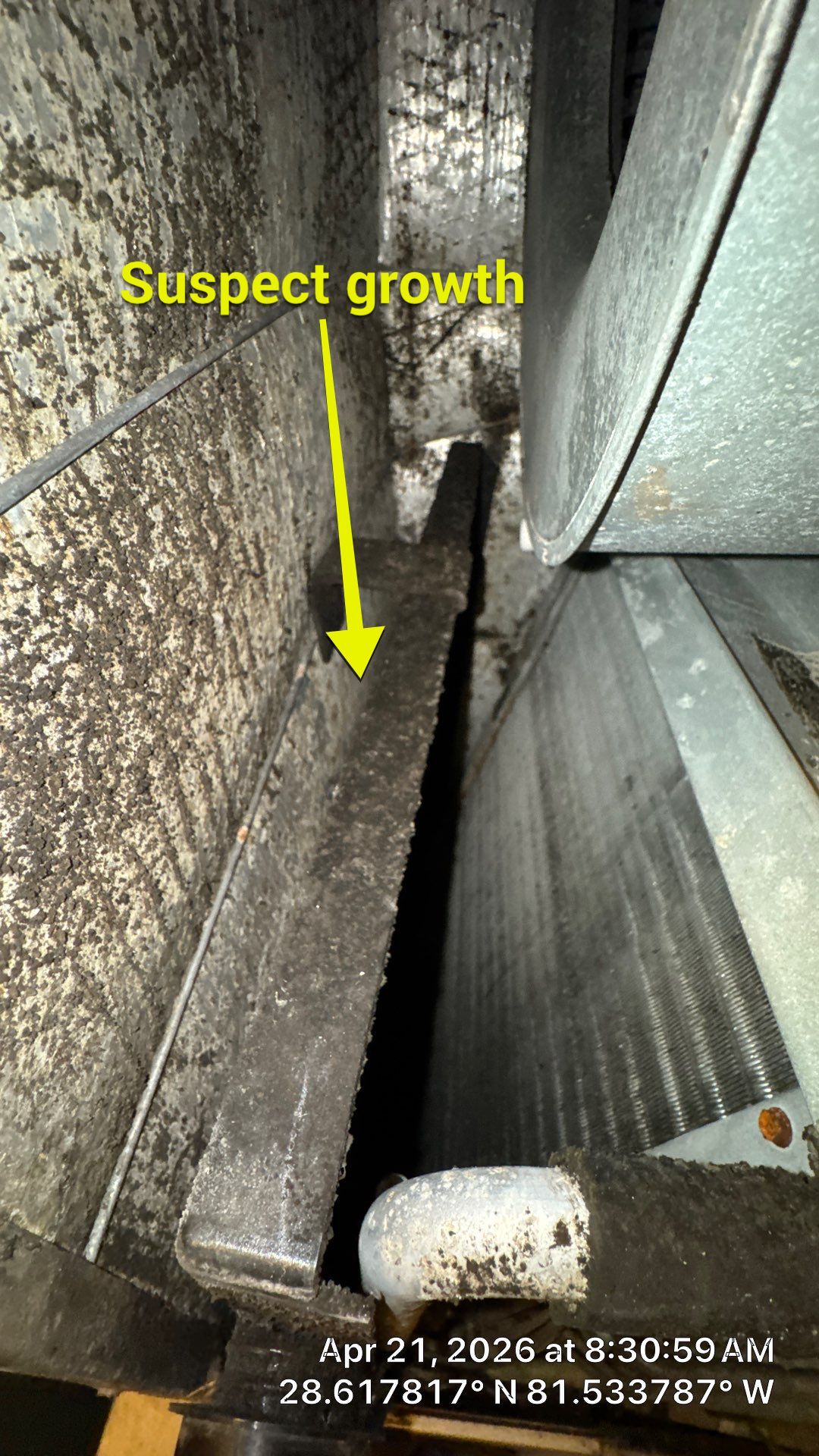 Air Duct Cleaning in Ocoee by Hygienic Air, Inc