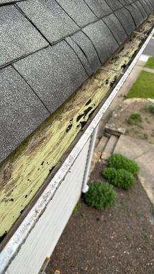 Turtle Shell gutter protection installation in Warrenville, IL 60555, photograph 11