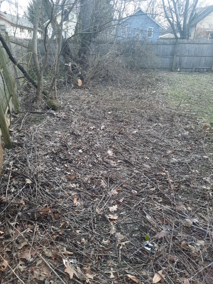 Tree Removal using Tree Removal by Mike Jones & Sons Tree Service LLC 