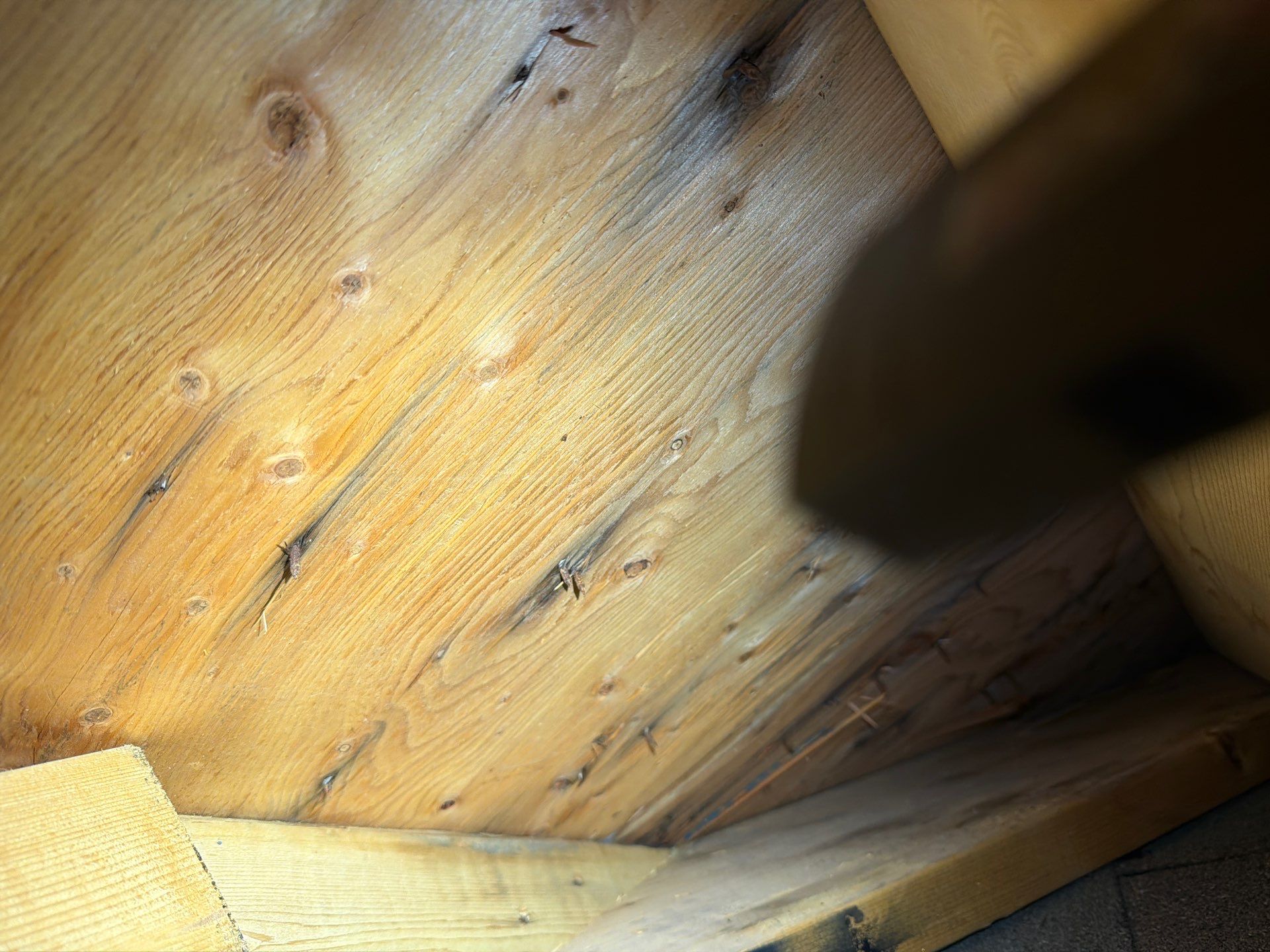 Project in Oakville by The Roofing Crew