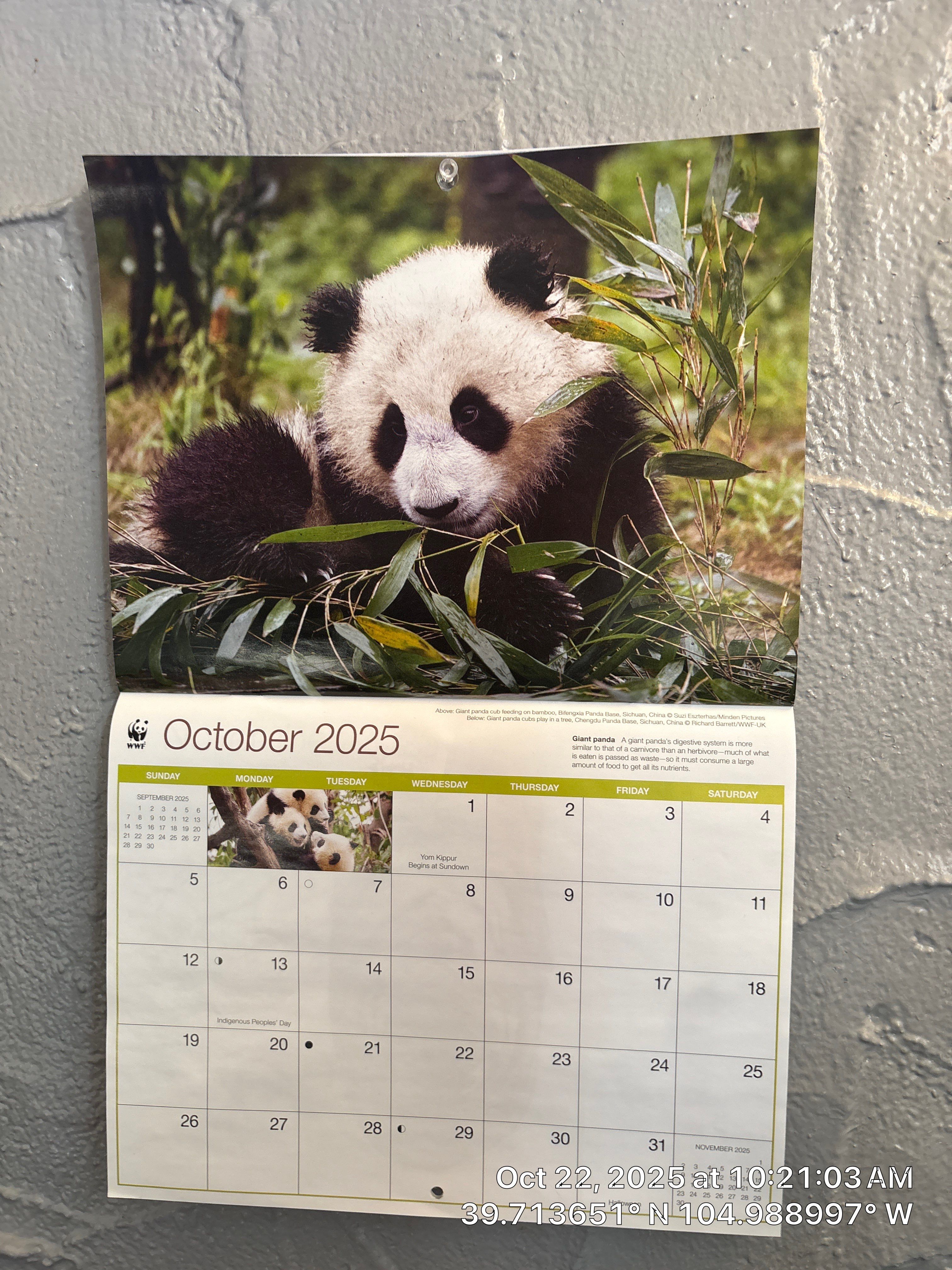 Project by CompanyCam | Account Management Demo Account by CompanyCam | Account Management Demo Account