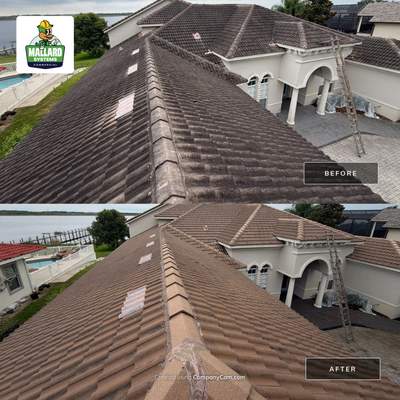 Roof and Exterior Cleaning