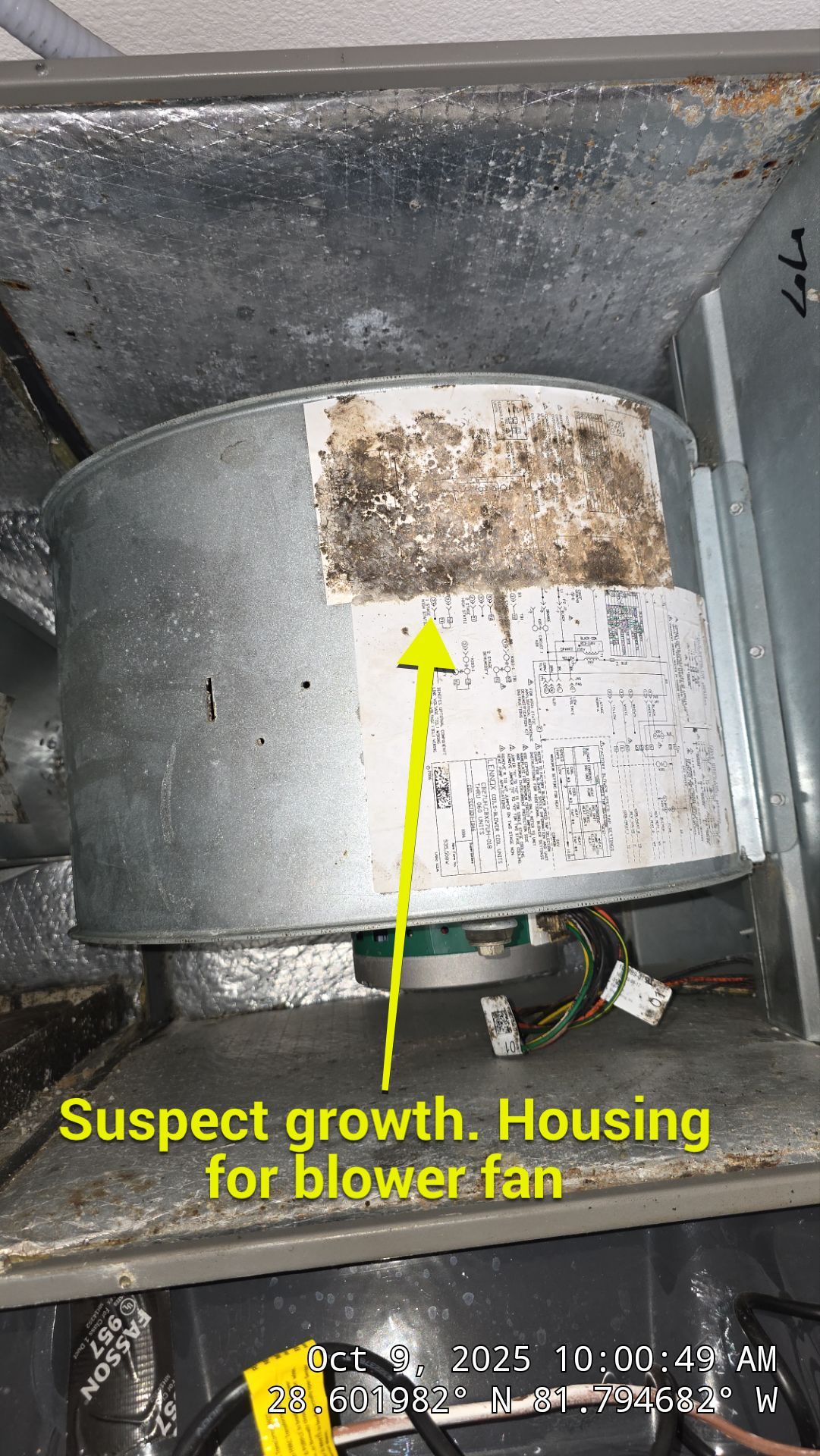 Air Duct and Dryer Vent Cleaning in Groveland by Hygienic Air, Inc