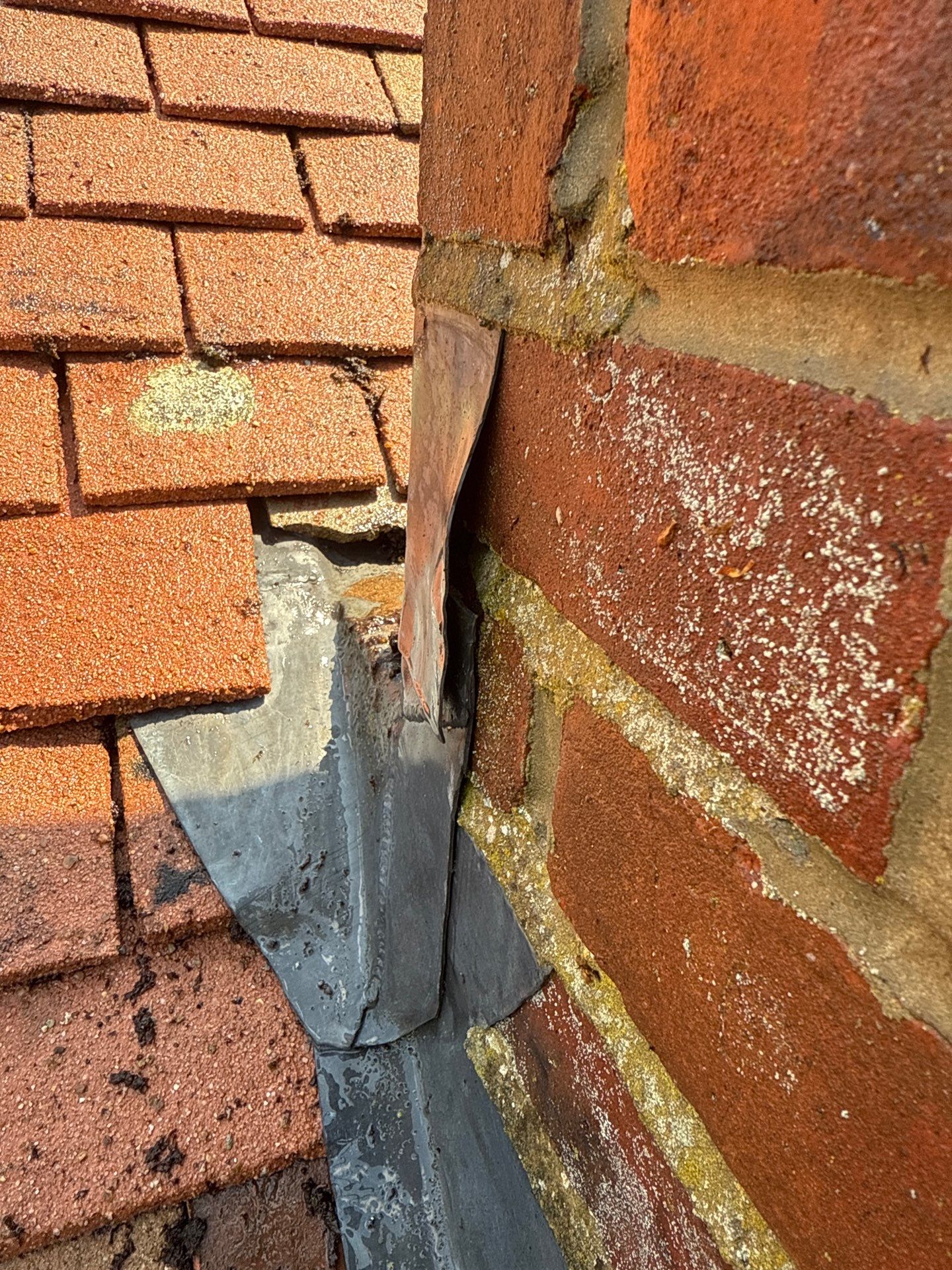 Roof Clean - Gutter Clean - Biocide Treatment by Ges Exterior Cleaning ltd