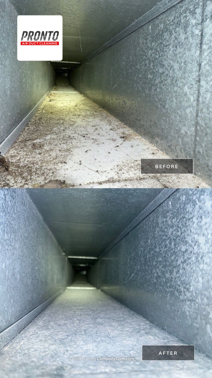 Air duct cleaning using Commercial vaccum by Pronto Air Duct Cleaning