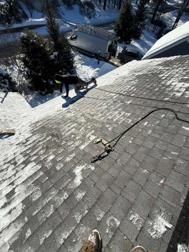 Sow Removal by Mighty Dog Roofing of Greater Middlesex County
