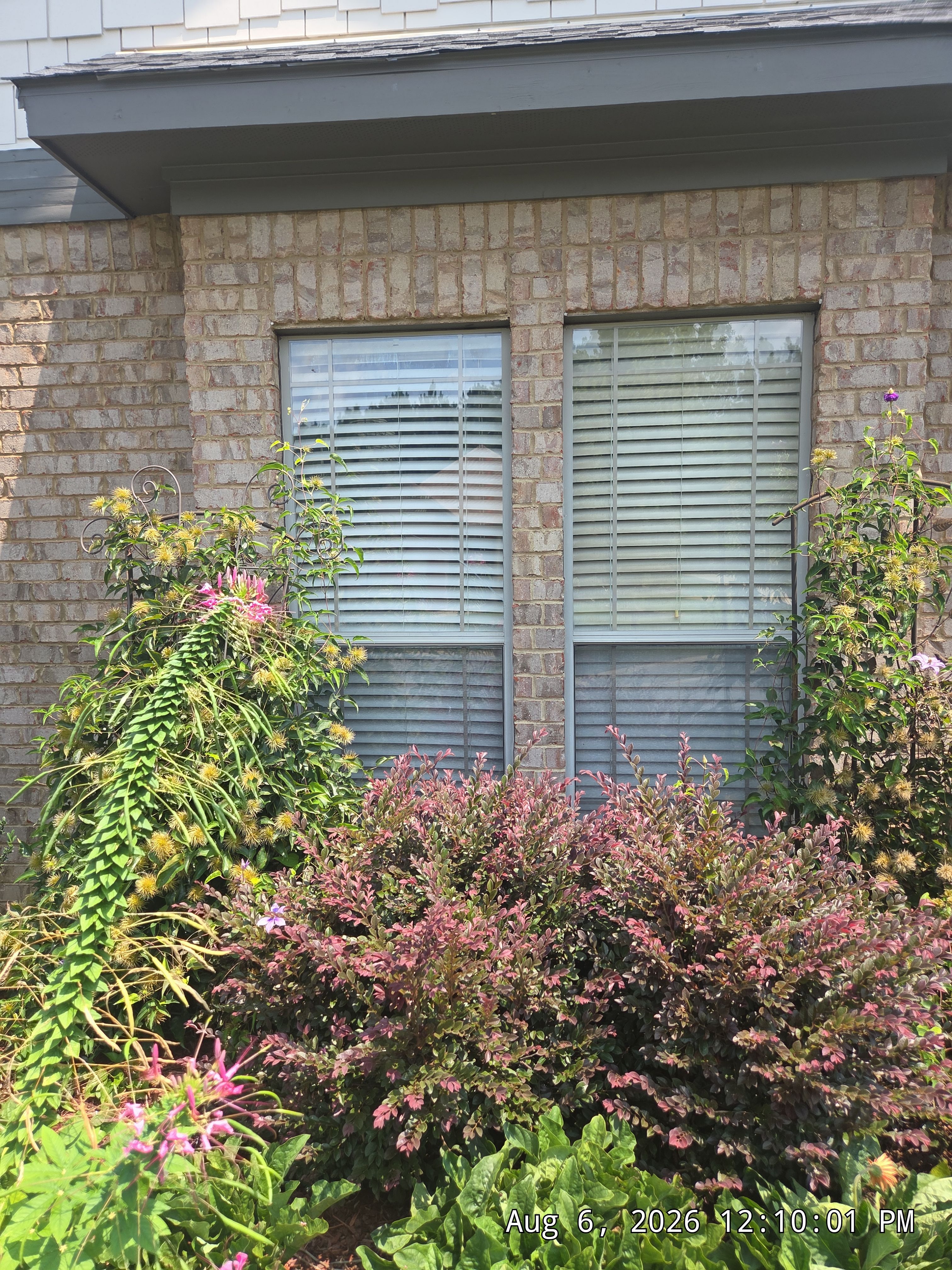 Holland Project in McCalla by The Window Source