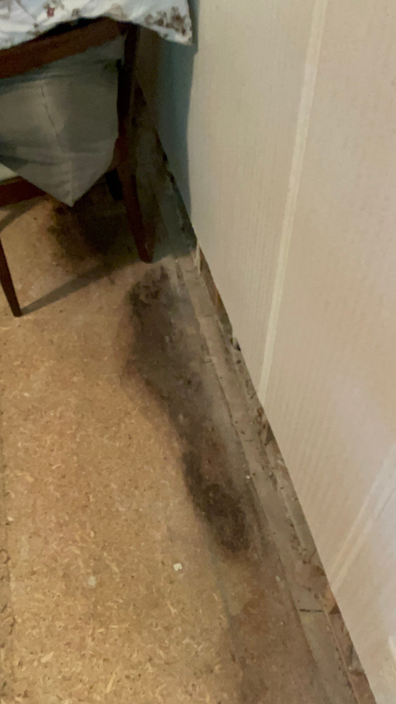 Water Damage Claim in Loch Sheldrake by FLAPA & KeyStone