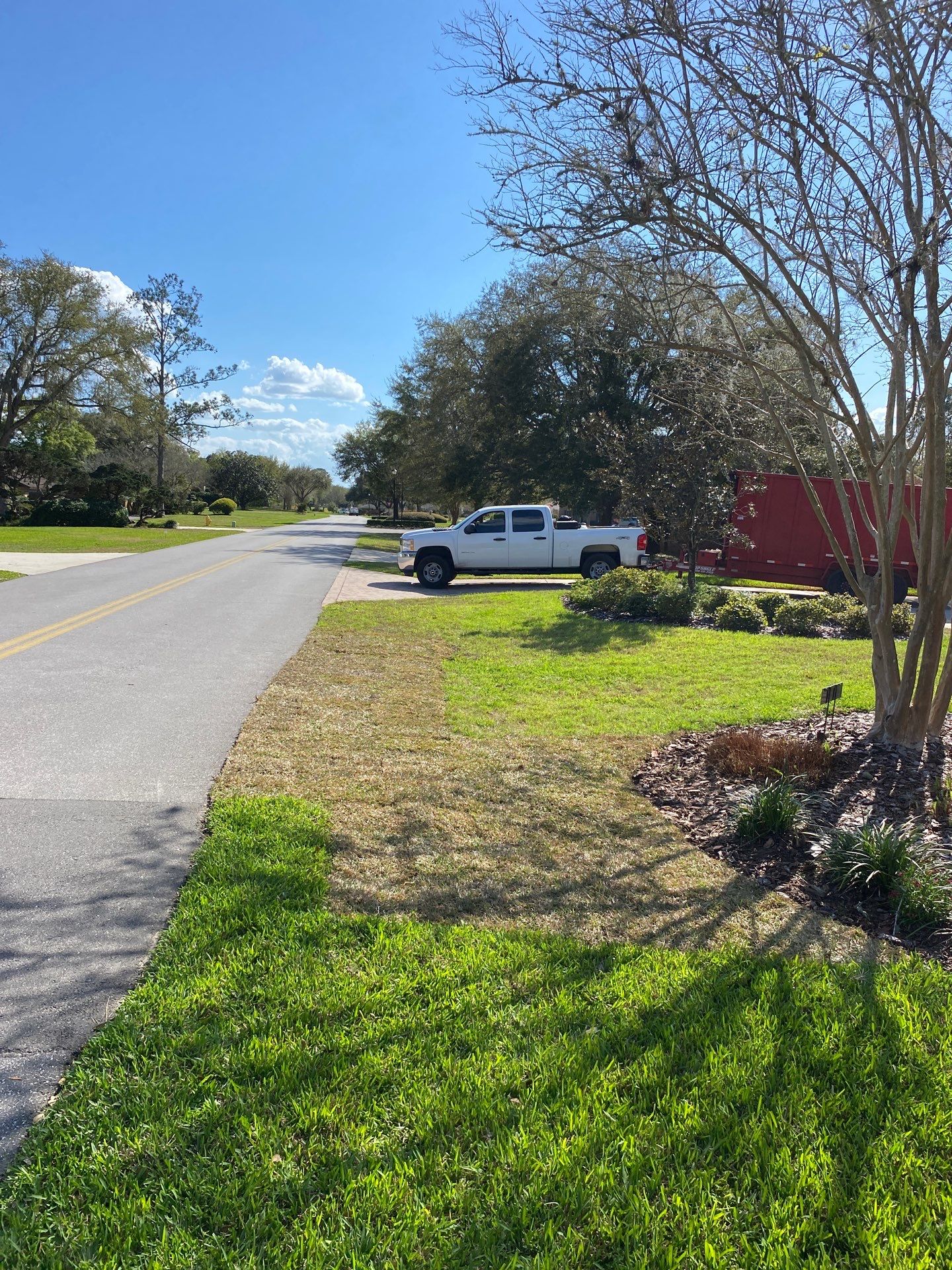 Deerwood Resident | Sod Install & Shrub Removal by ProGreen Services