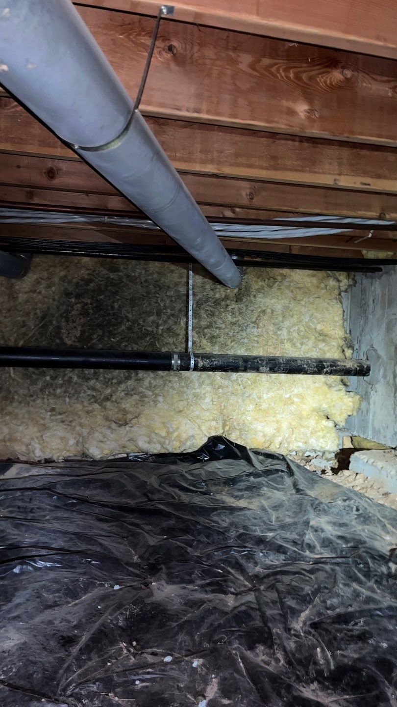 Mold Damage Project in Littleton by Accountable Home Services