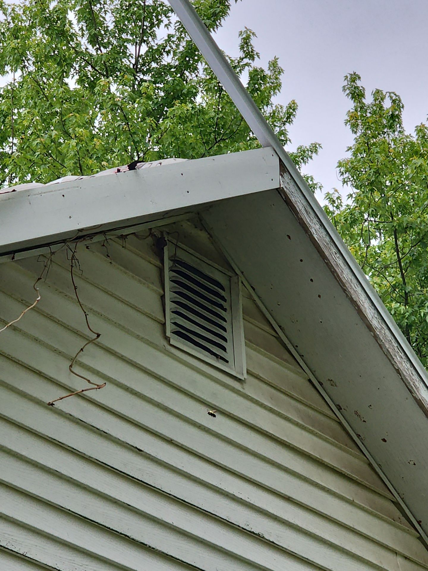Re-roof the Art Studio nestled among the pines by SOS Home Ohio 