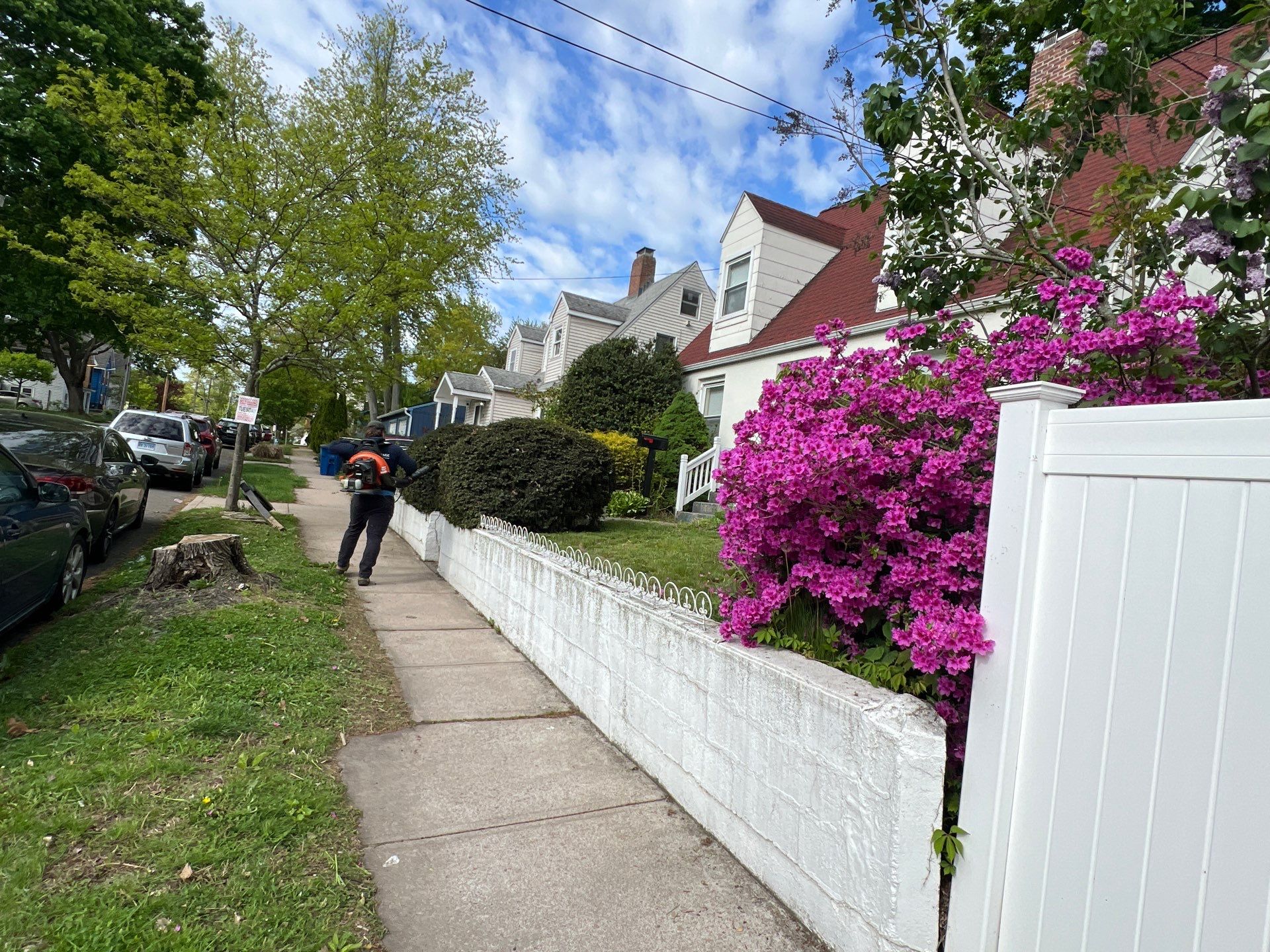 Comprehensive Lawn Care and Hedge Trimming in New Haven by Diamond Image LLC