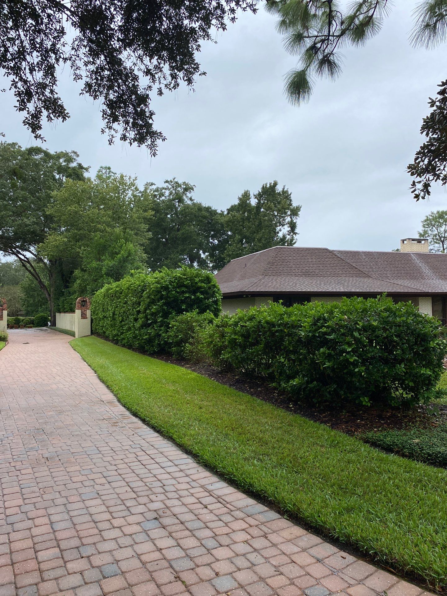 Deerwood Resident | Shrub Work by ProGreen Services