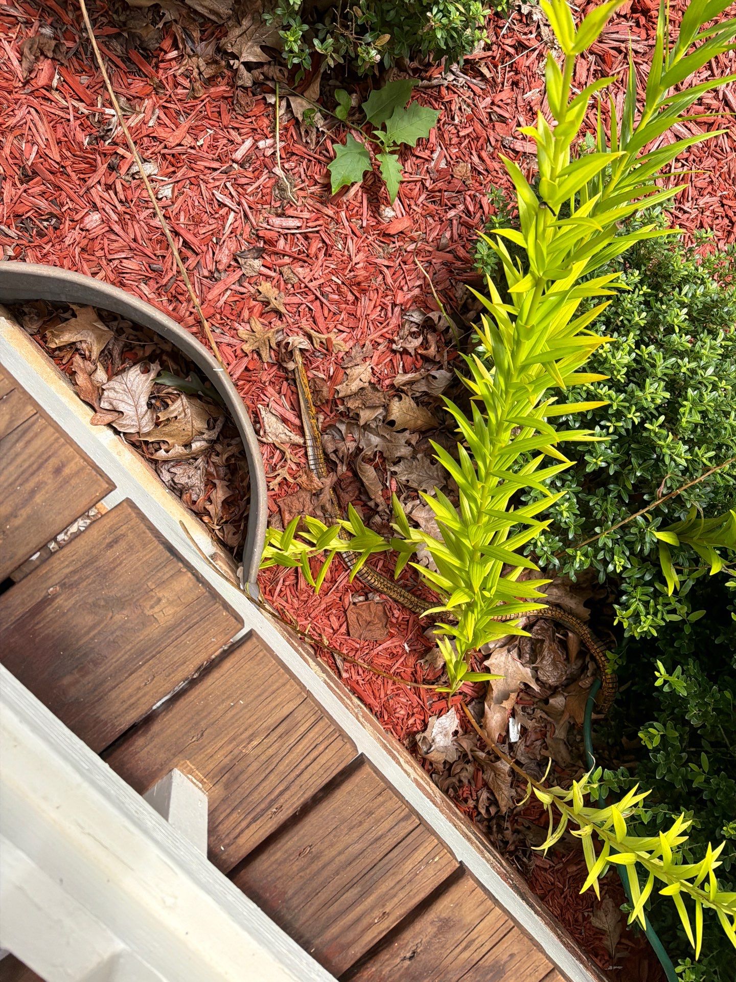 Deck using Wood Sealant by DuraSeal