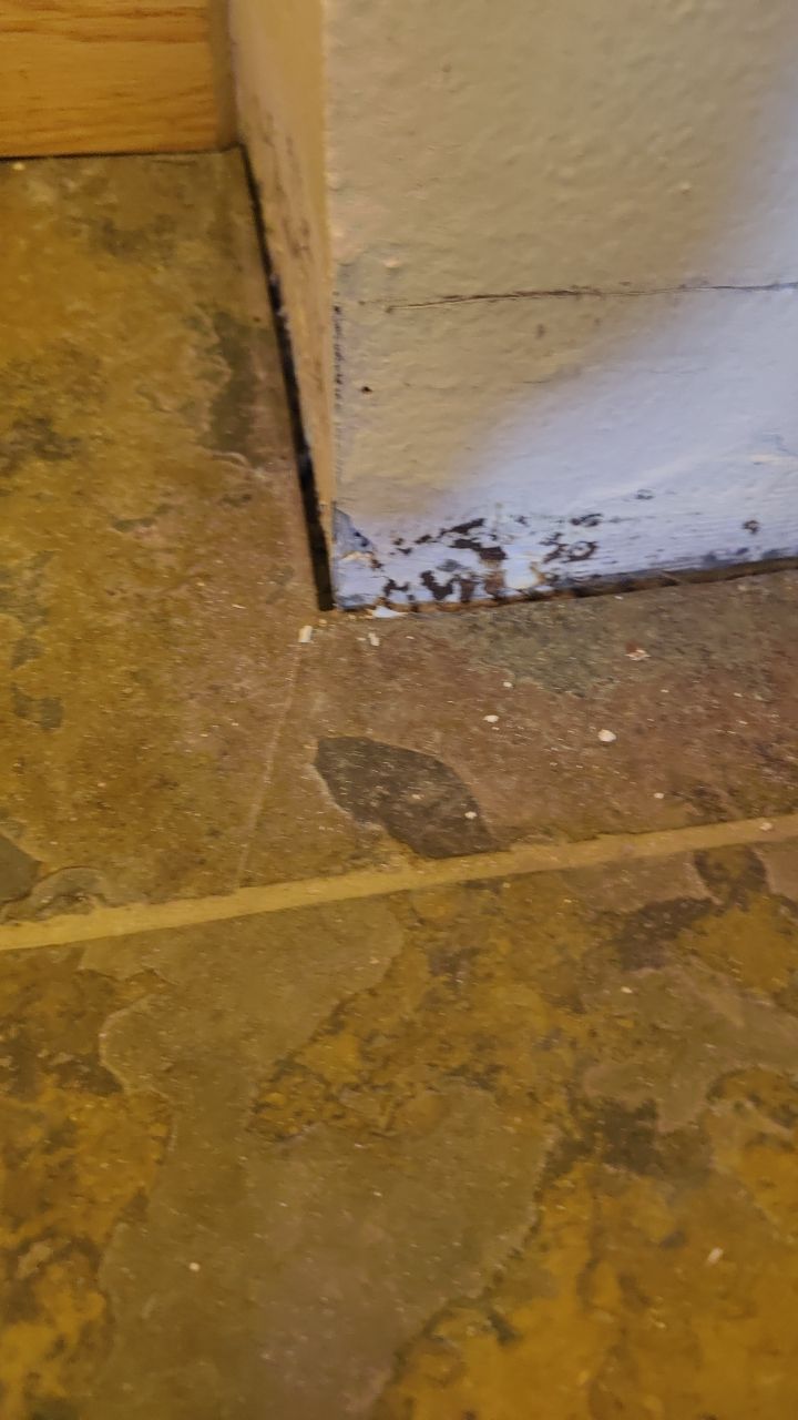 Water Damage  by Accountable Home Services