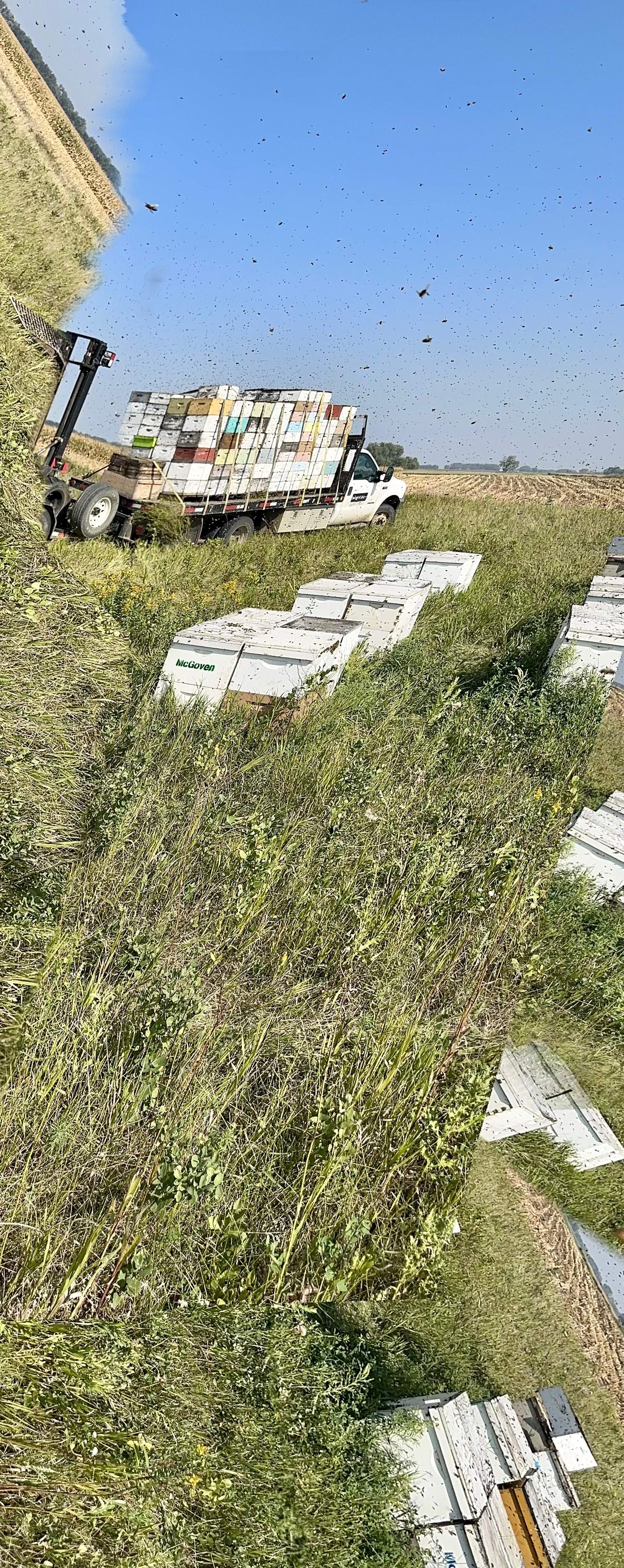 BeeGirl's Honey House in the Midwest by Rockwall Honey Bee Company