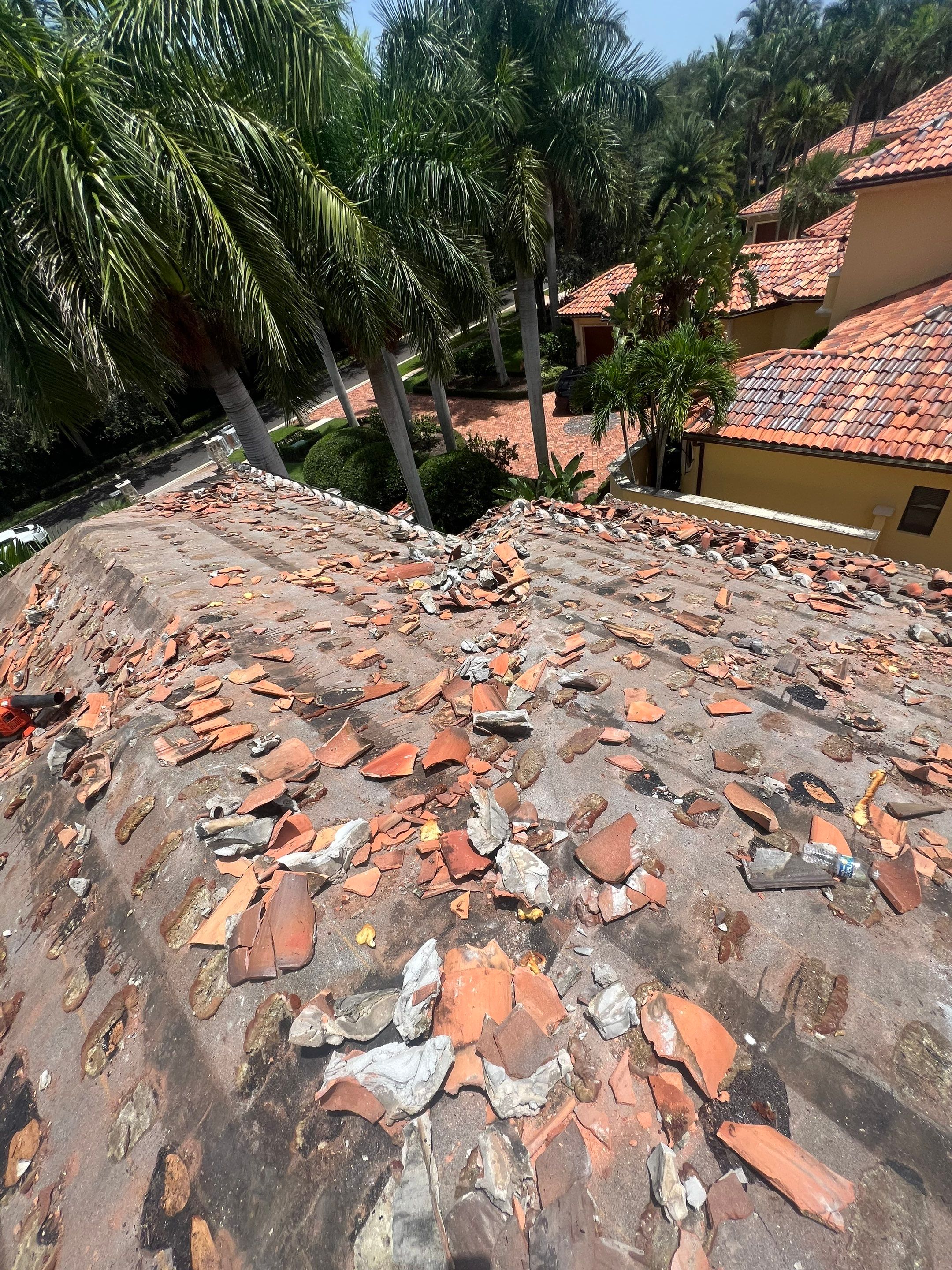 Terracotta Clay Tile by Reimagine Roofing