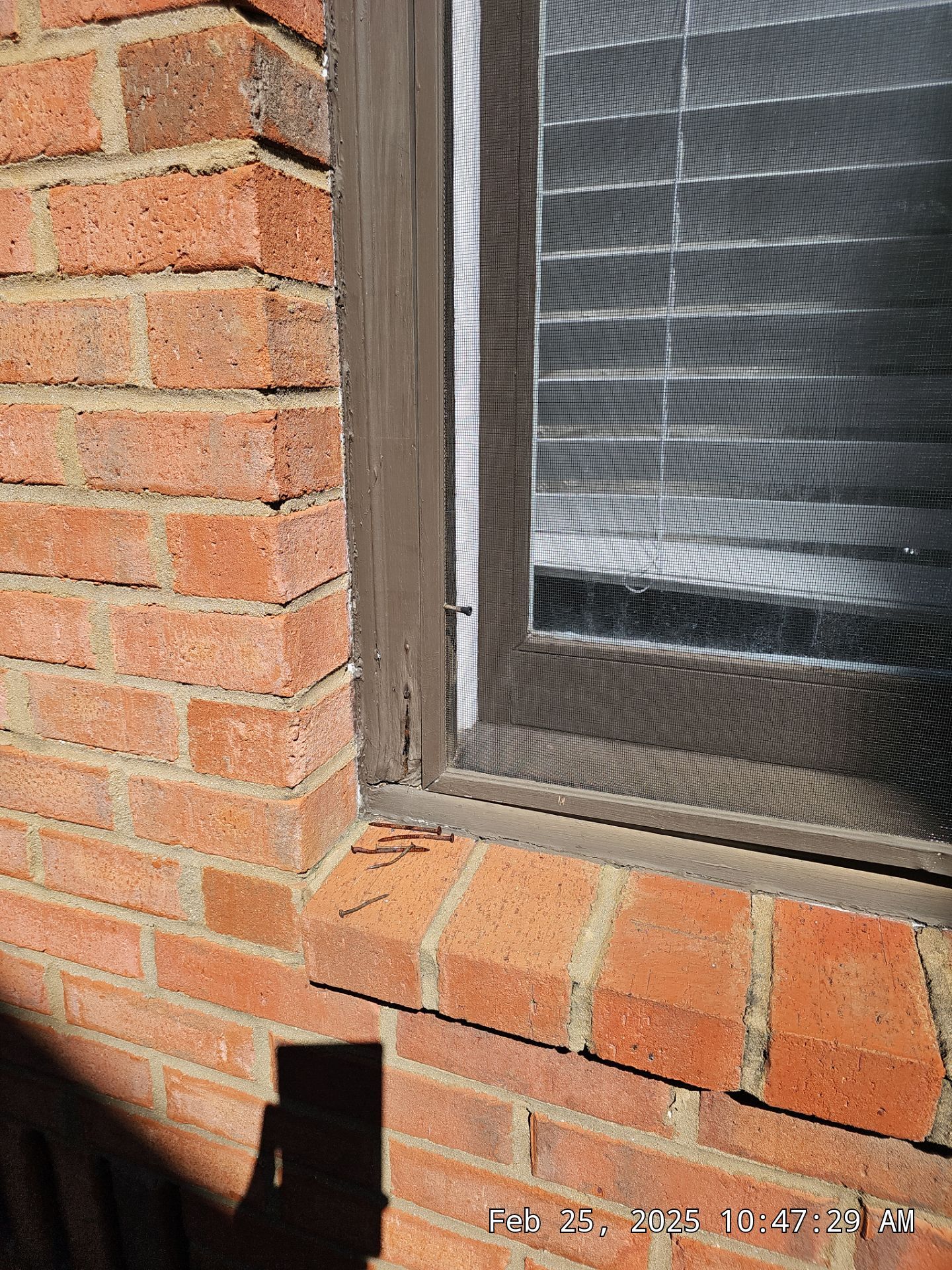 Bailey Project in Vestavia Hills by The Window Source