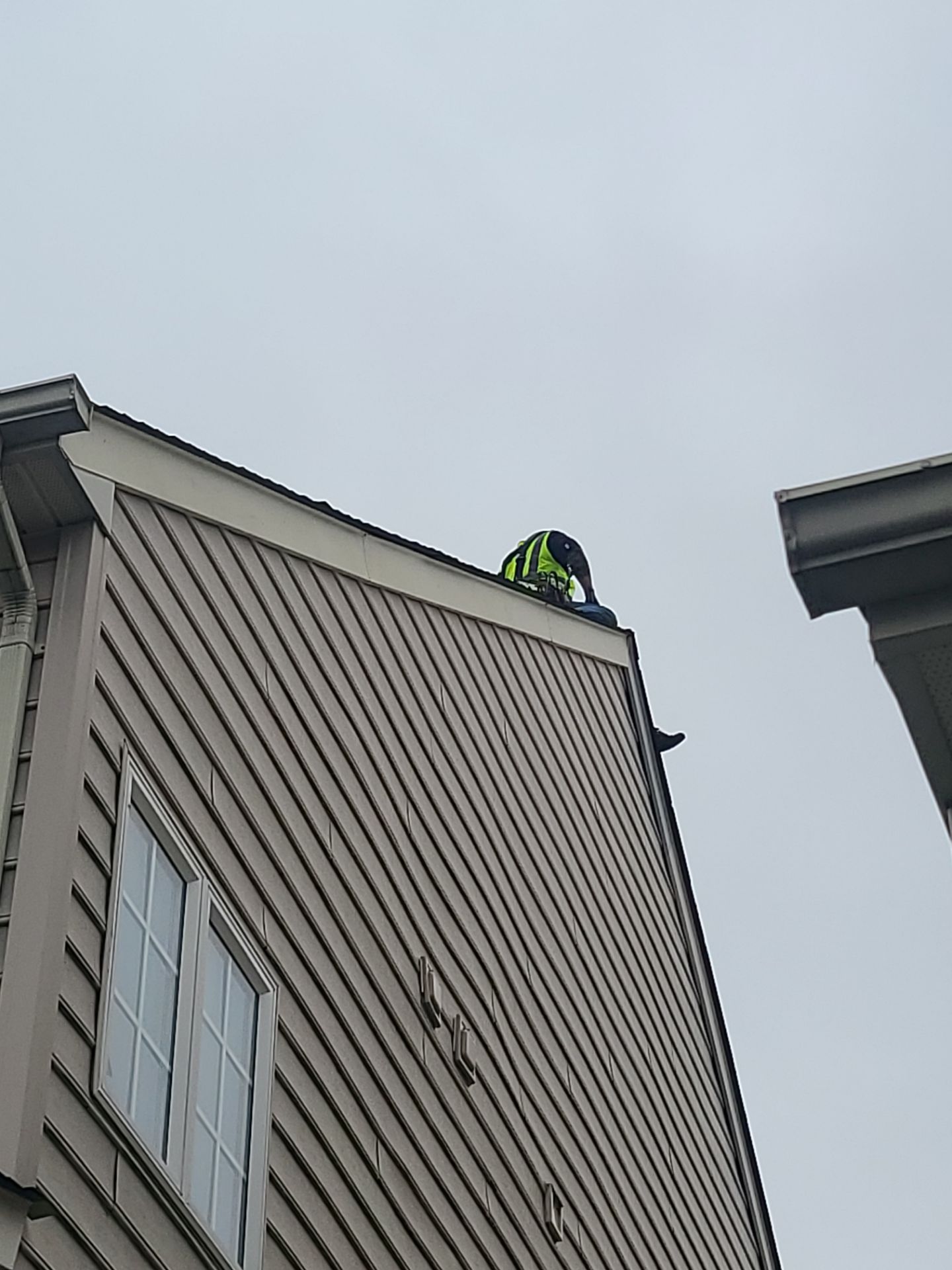 Alexandria: Residential Roof Replacement with CertainTeed Landmark Pro in Max Def Charcoal Black by RM Banning, Inc.