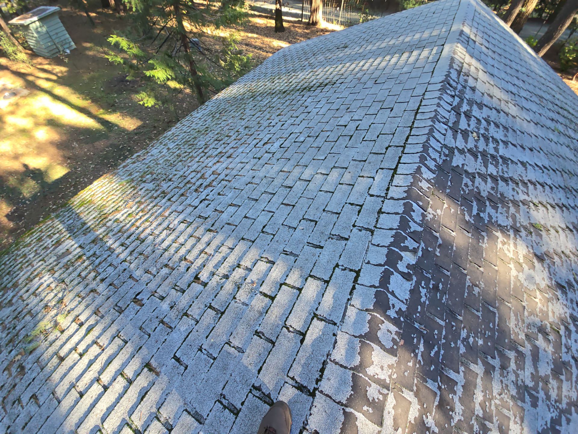 Roof Rejuvenation using Roof Maxx Treatment by Roof Maxx of Folsom
