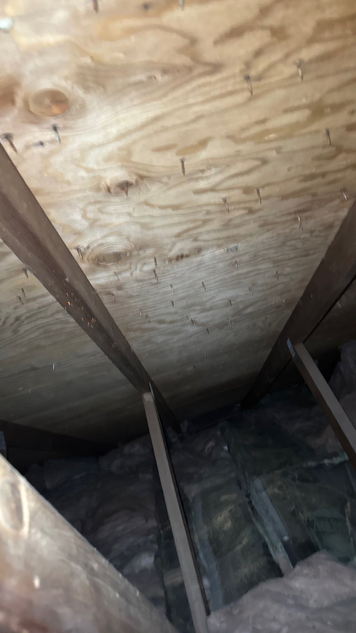 Roof Replacement using Owens Corning Brownwood by 180 Contractors