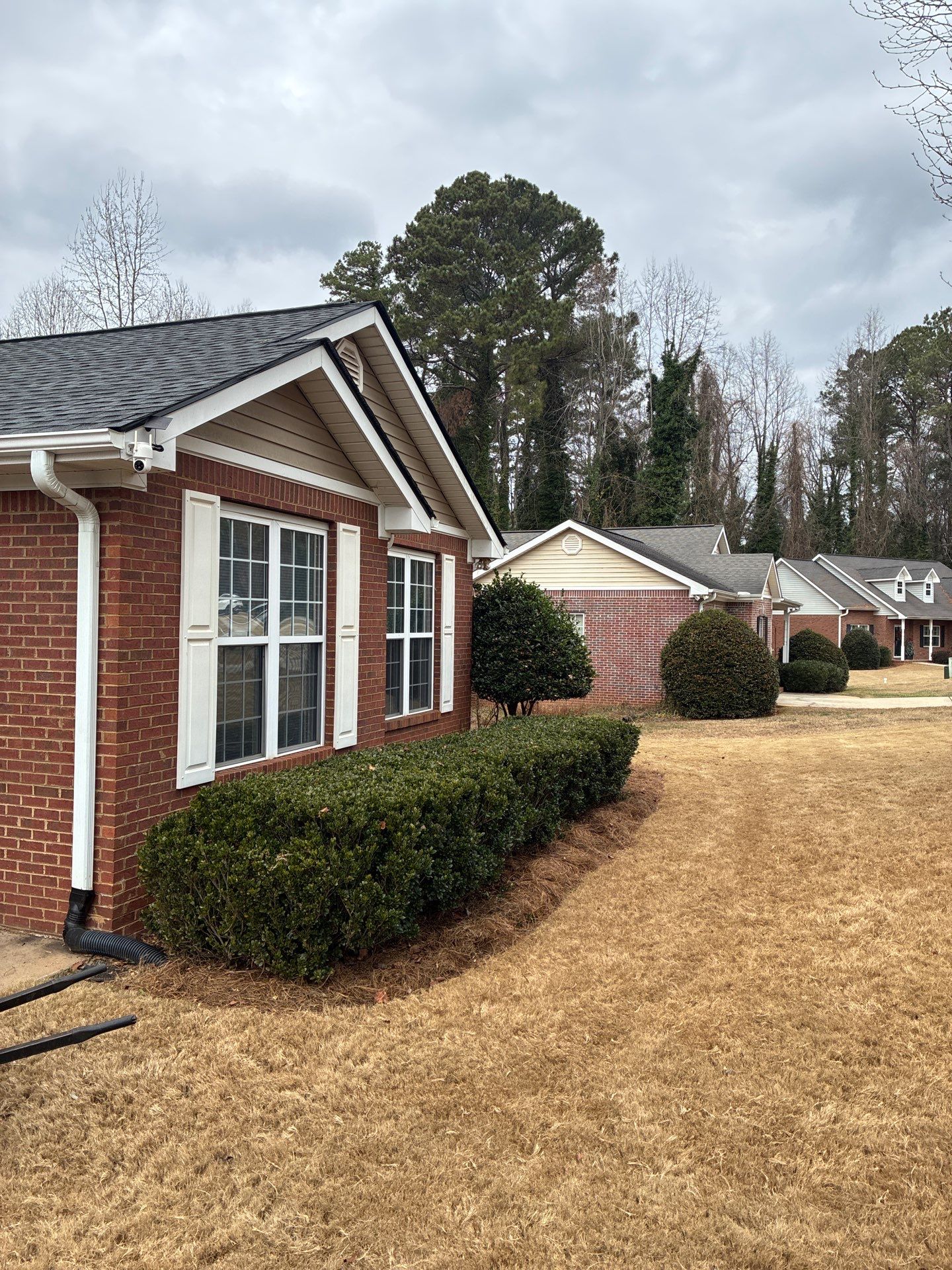 Susan Collins by United Contracting and Roofing