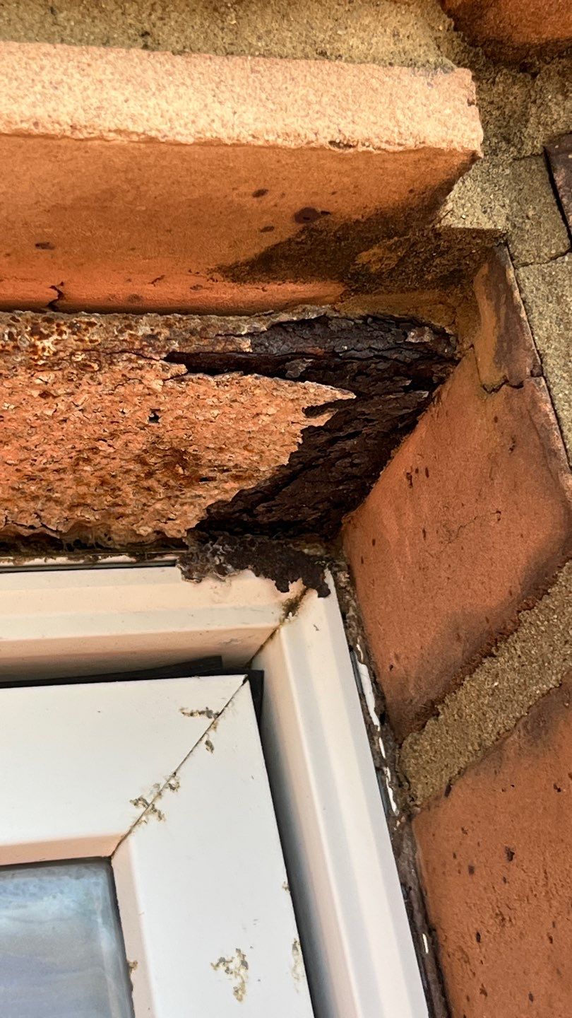 Problems in Paradise  by Bayfront Roofing and Construction