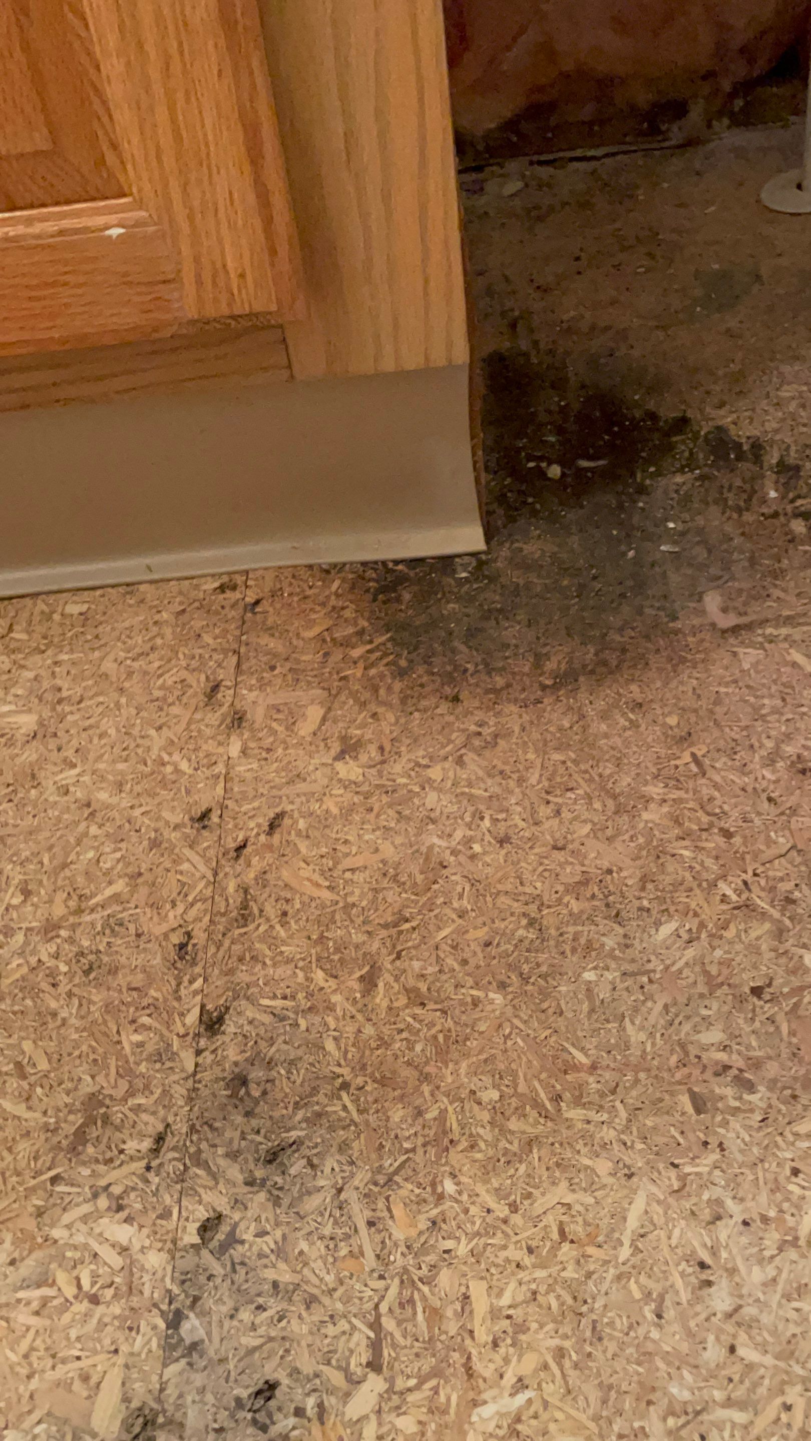 Water Damage Claim in Loch Sheldrake by FLAPA & KeyStone