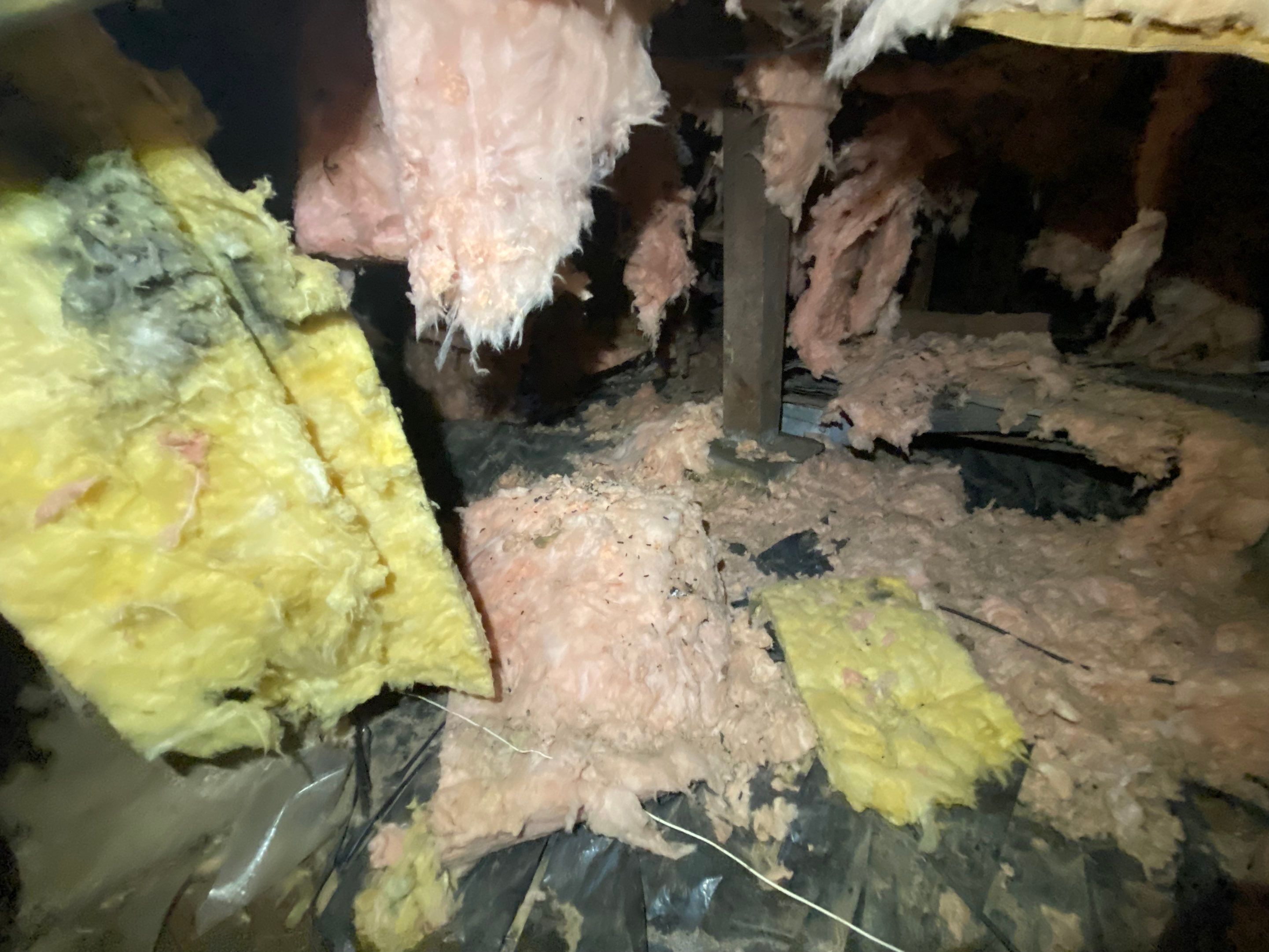 Crawlspace Transformation by Hausmeister Home Services INC