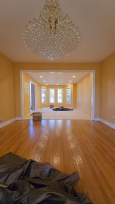 STUCCO REMOVAL using FESTOOL